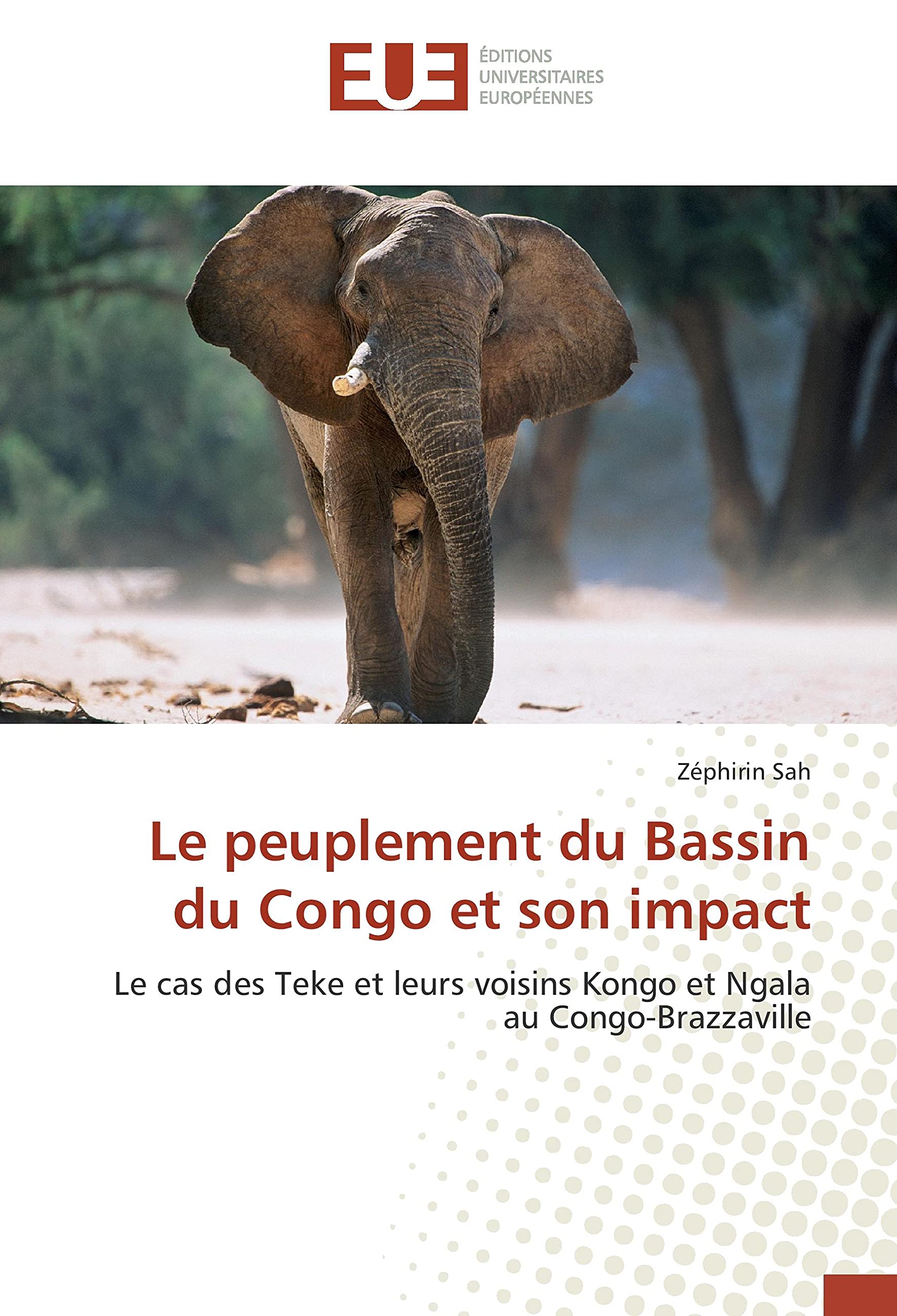 Le peuplement du Bassin du Congo et son impact: Le cas des Teke et leurs voisins Kongo et Ngala au Congo-Brazzaville book