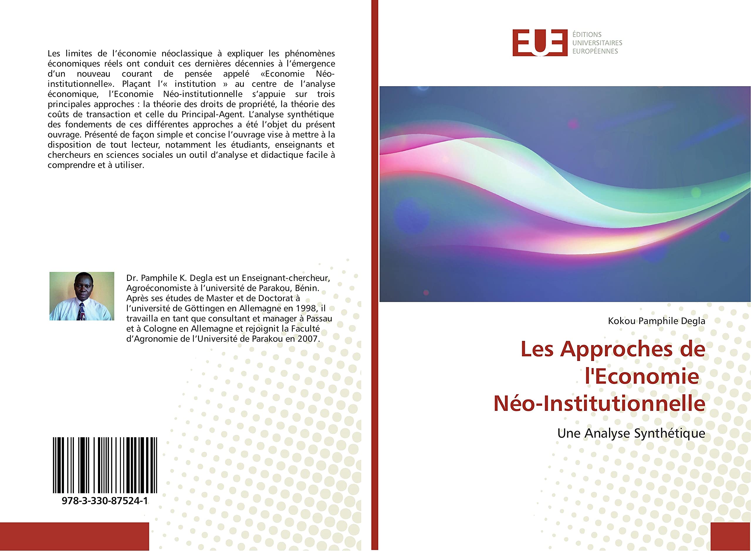 Les Approches de l'Economie Néo-Institutionnelle: Une Analyse Synthétique book