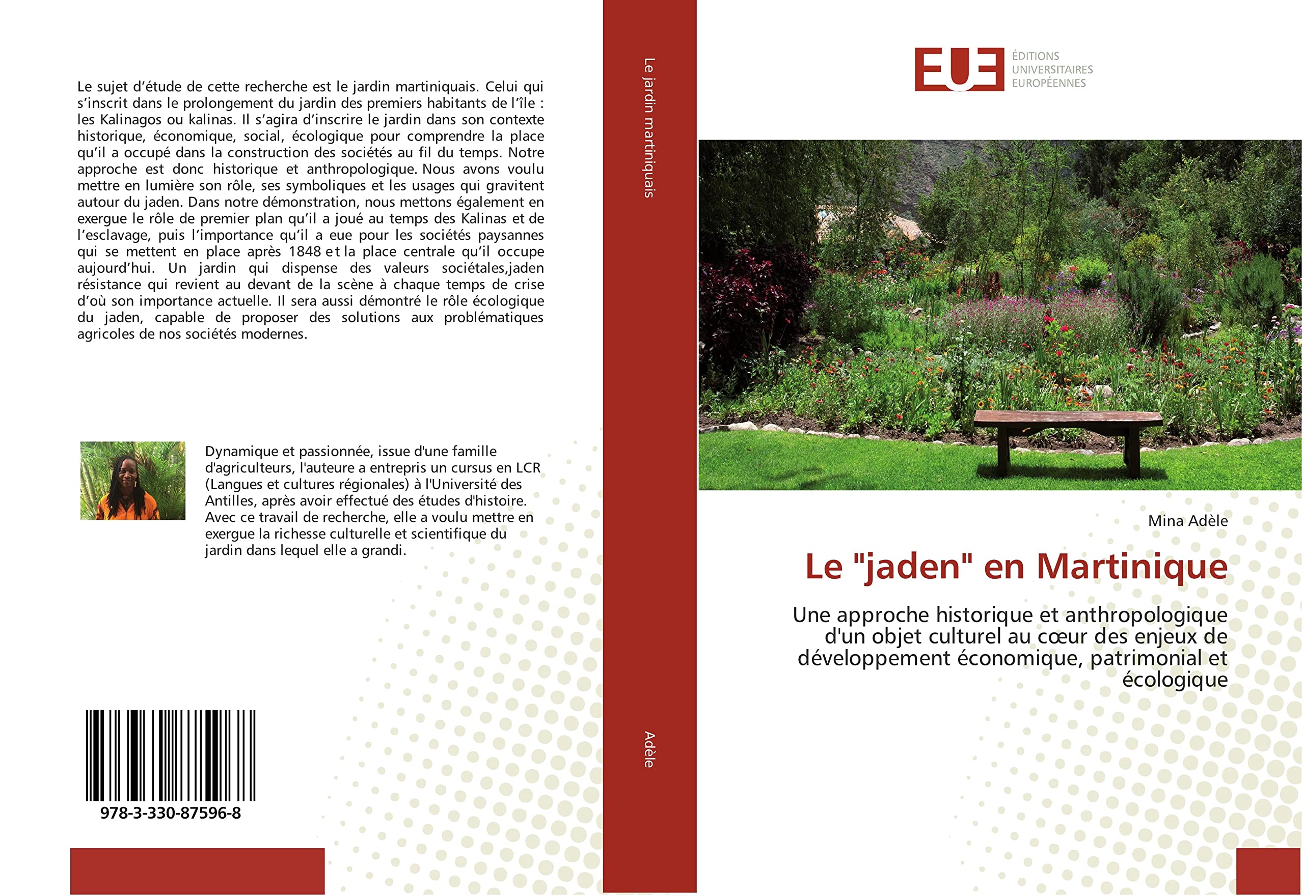 Le "jaden" en Martinique: Une approche historique et anthropologique d'un objet culturel au coeur des enjeux de developpement book