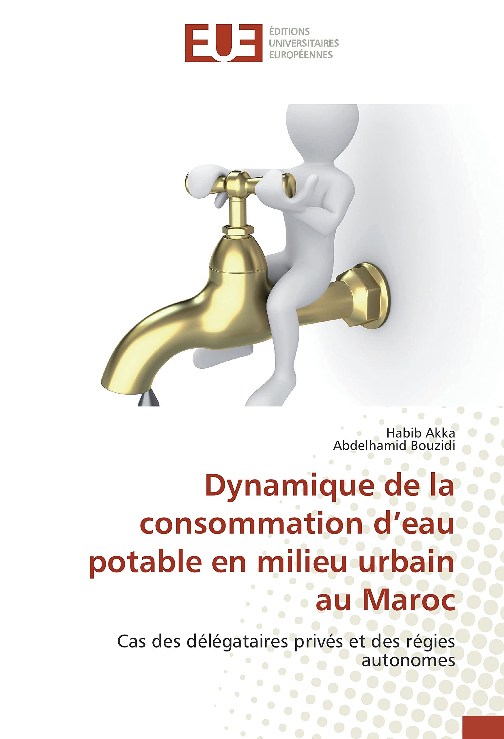 Dynamique de la consommation d’eau potable en milieu urbain au Maroc: Cas des délégataires privés et des régies autonomes book