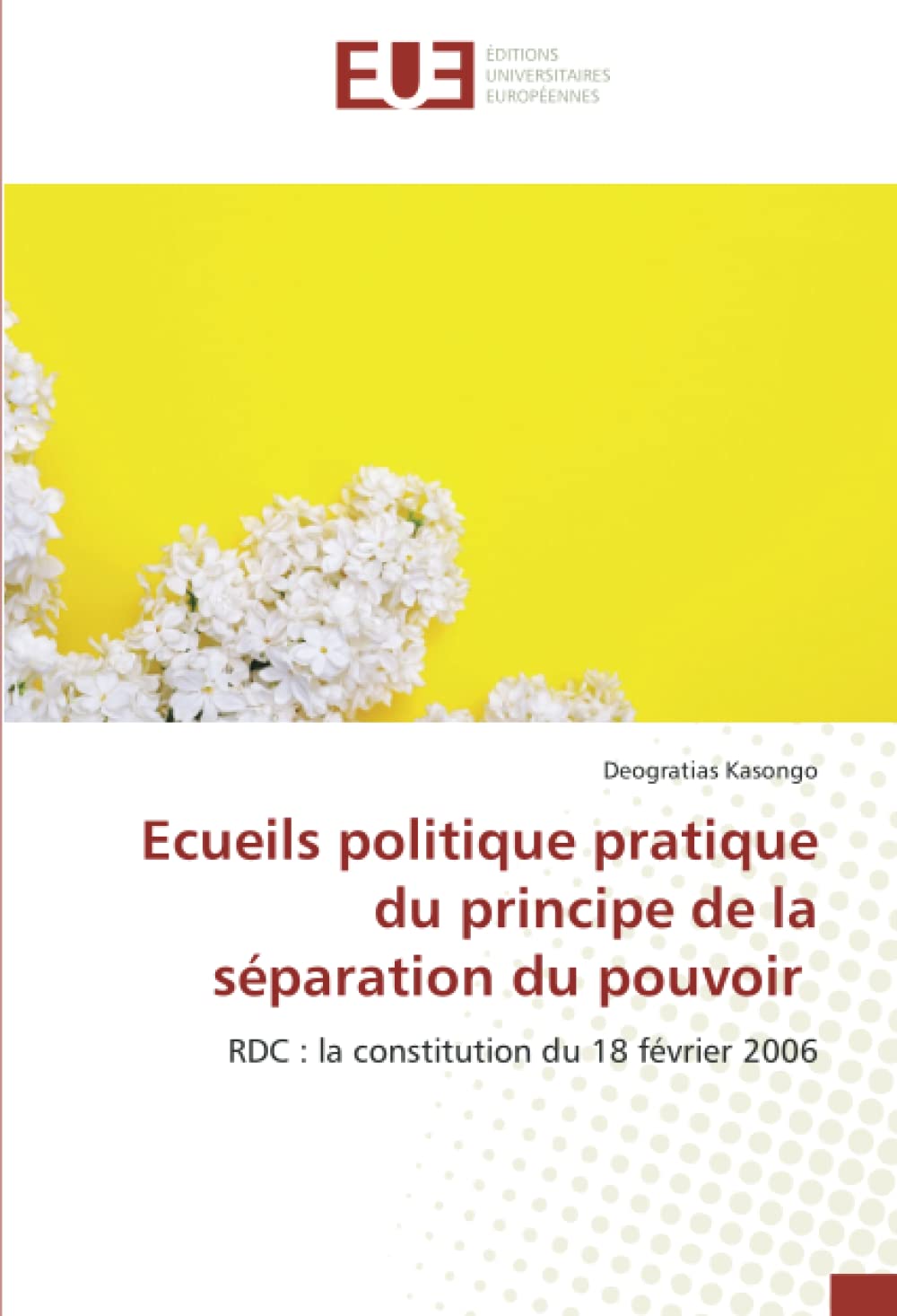Ecueils politique pratique du principe de la séparation du pouvoir: RDC : la constitution du 18 février 2006 book