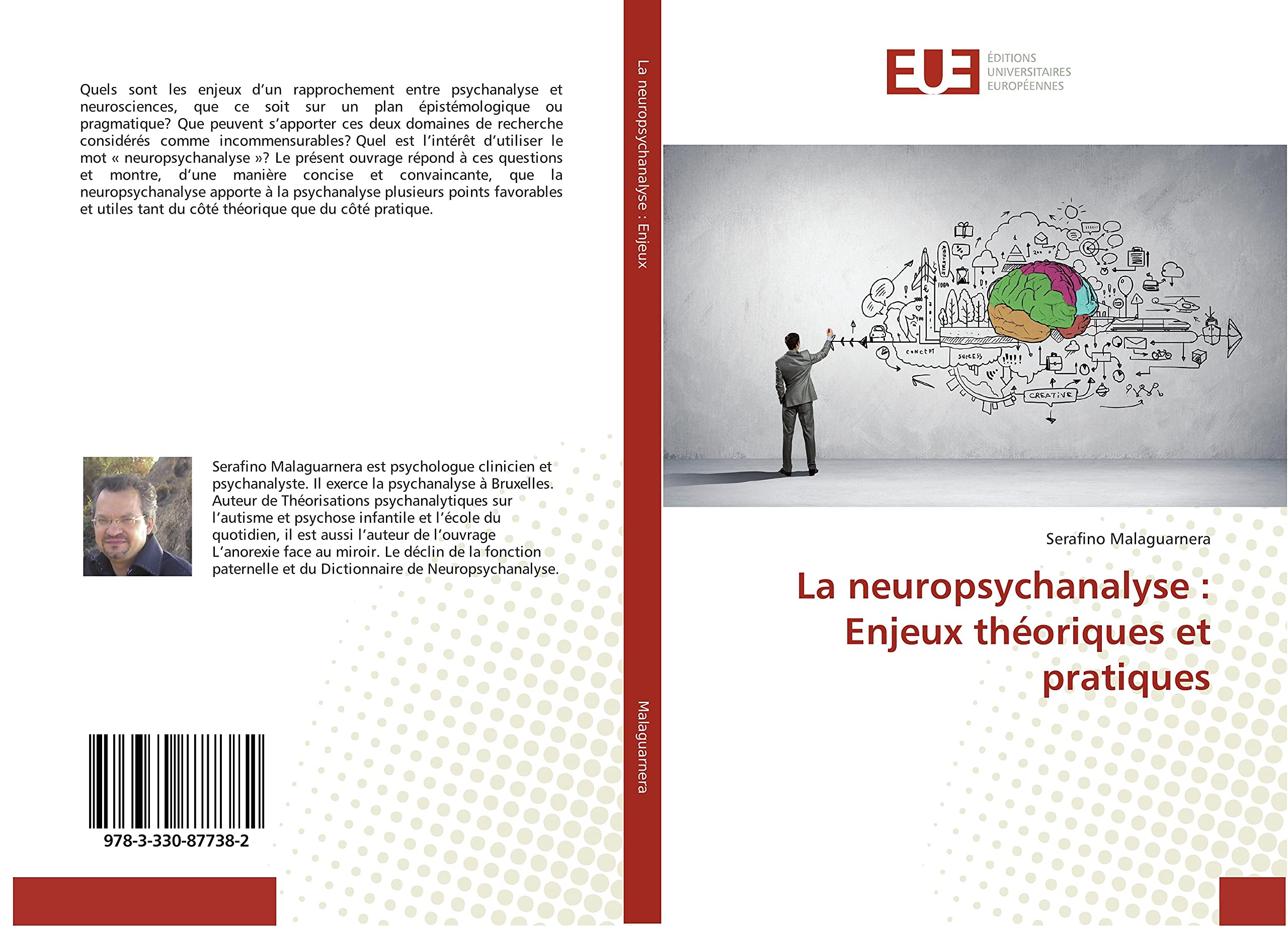 La neuropsychanalyse : Enjeux théoriques et pratiques book