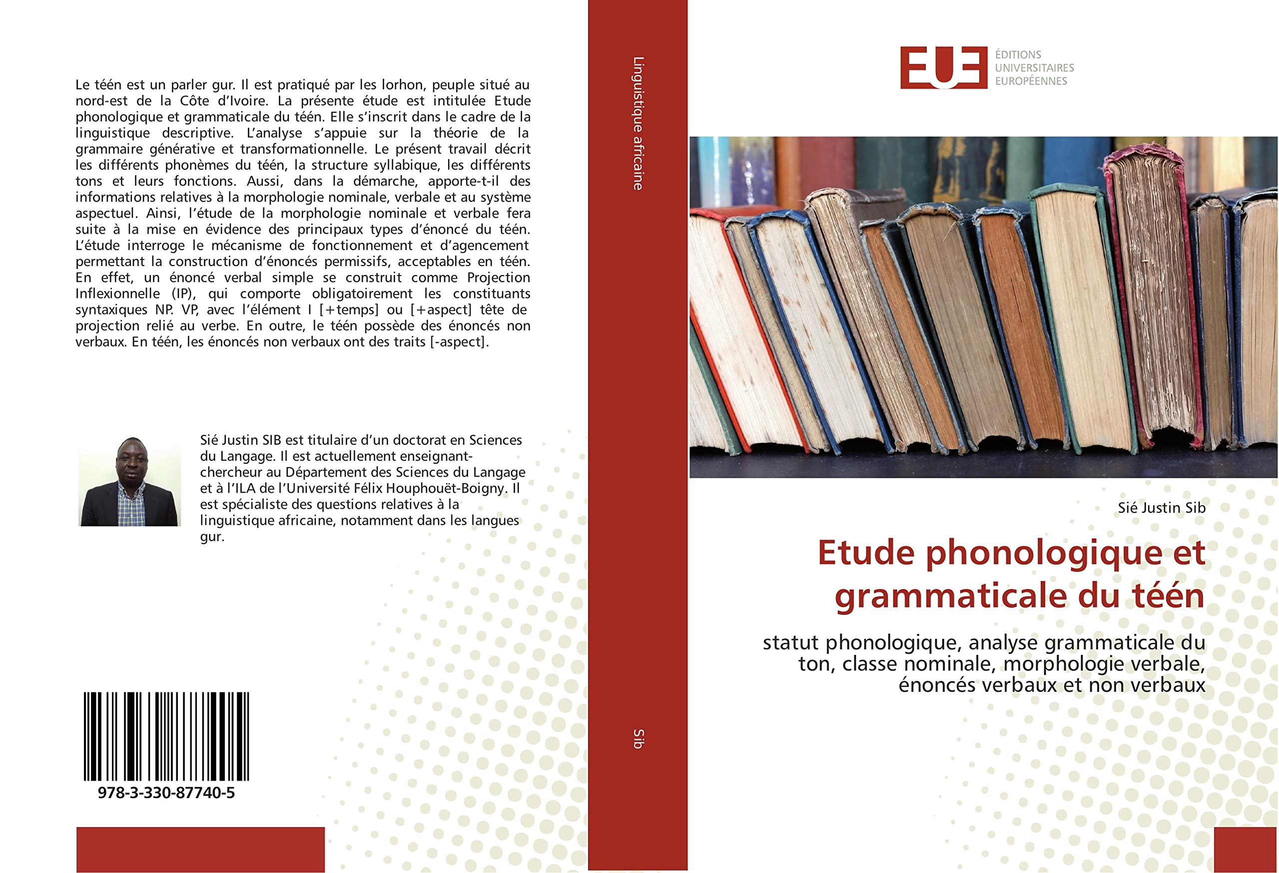 Etude phonologique et grammaticale du téén: statut phonologique, analyse grammaticale du ton, classe nominale, morphologie verbale, énoncés verbaux et non verbaux book