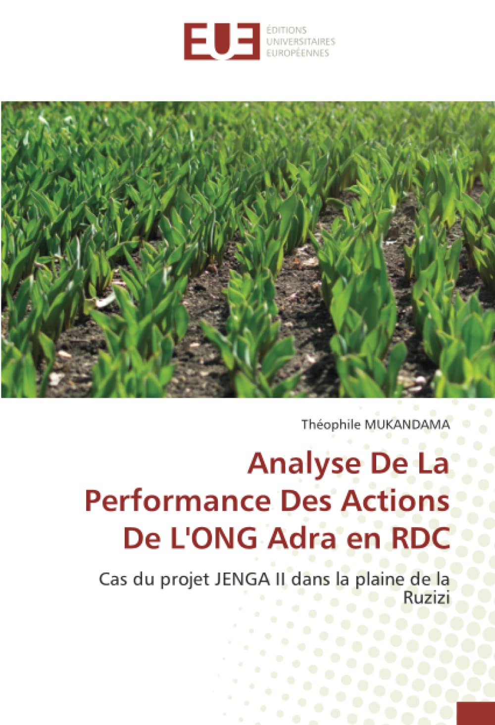 Analyse De La Performance Des Actions De L'ONG Adra en RDC: Cas du projet JENGA II dans la plaine de la Ruzizi book