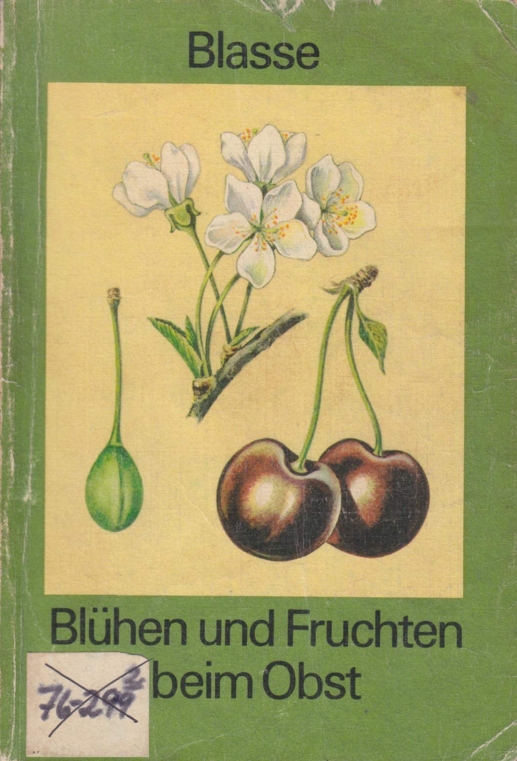 Blühen und Fruchten beim Obst Books
