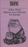 Haltung und Aufzucht von Katzen Pets