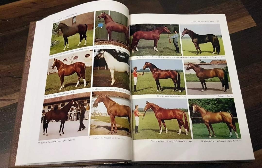 Pferdezucht : e. Fachbuch für Pferdezüchter u. -sportler. Books