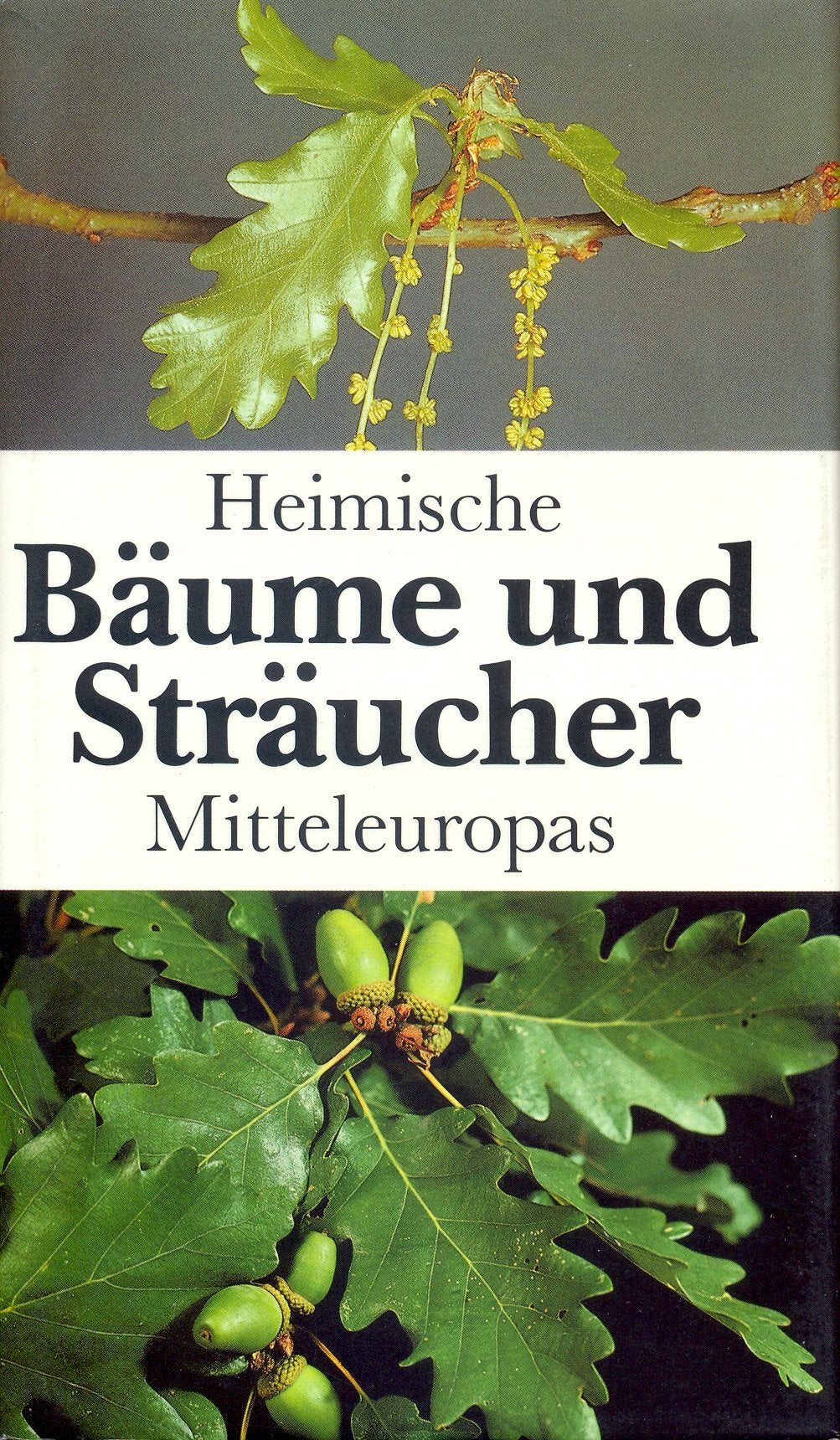 Product Image: Heimische Bäume und Sträucher Mitteleuropas