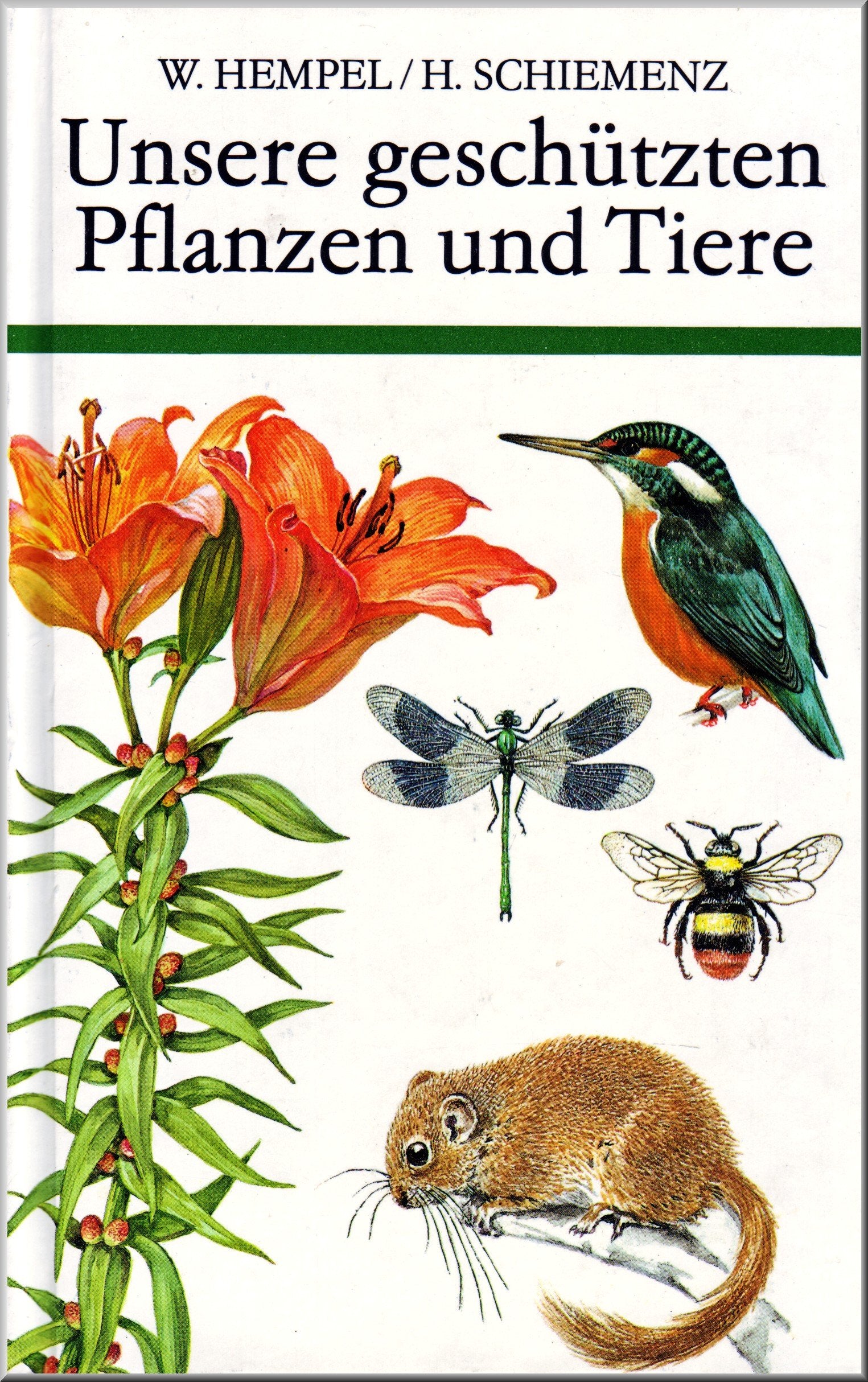 Unsere geschützten Pflanzen und Tiere Leisure, Home & Garden