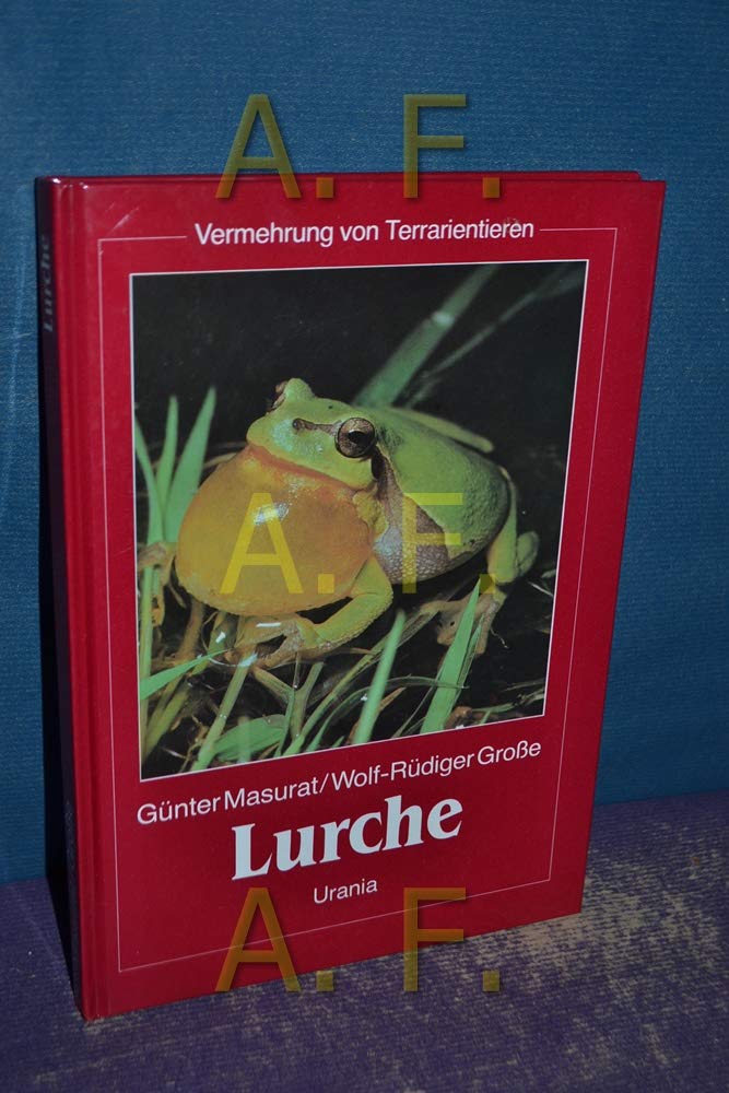 Product Image: Lurche