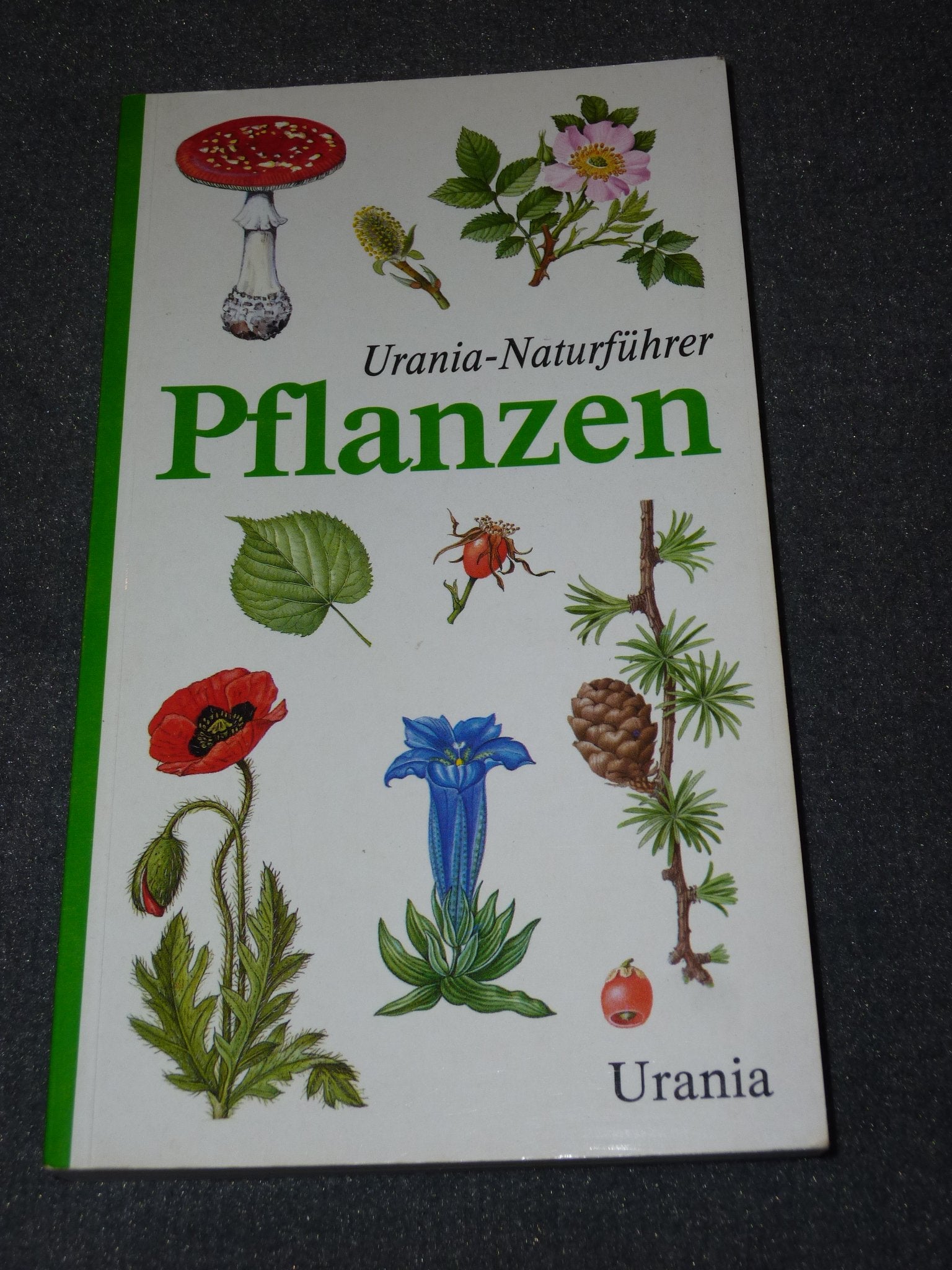 Urania-Naturführer Pflanzen Garden & Plants