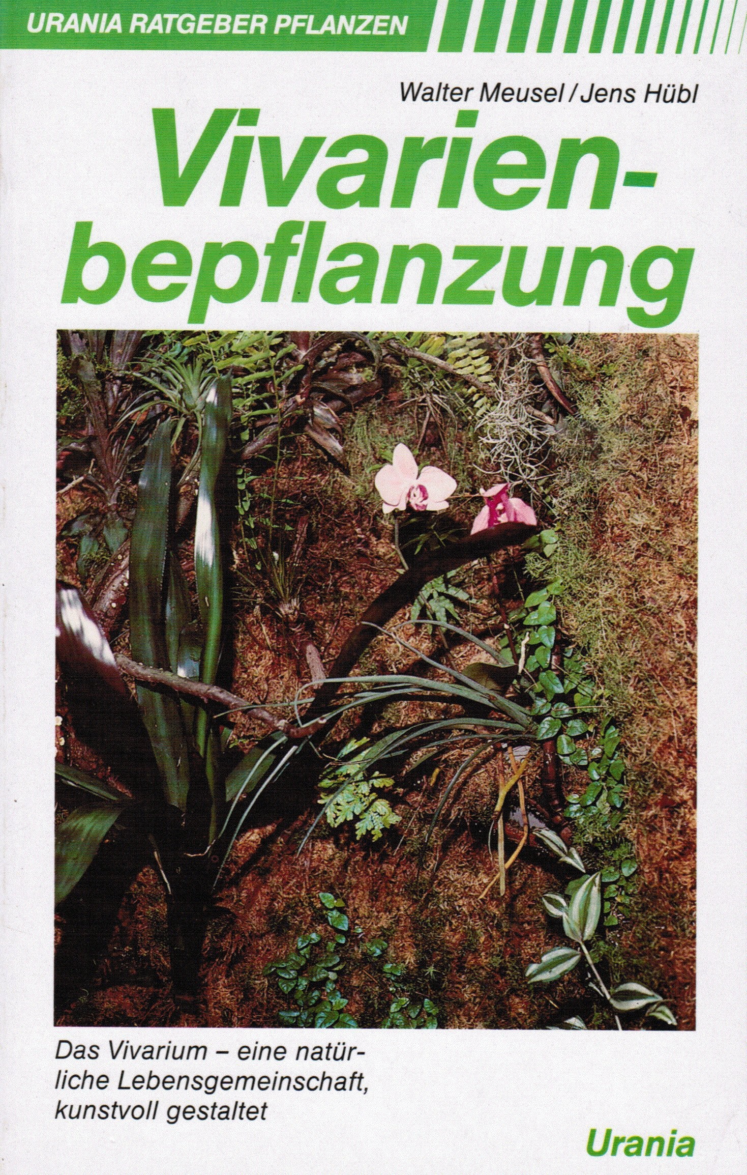 Vivarienbepflanzung Garden & Plants