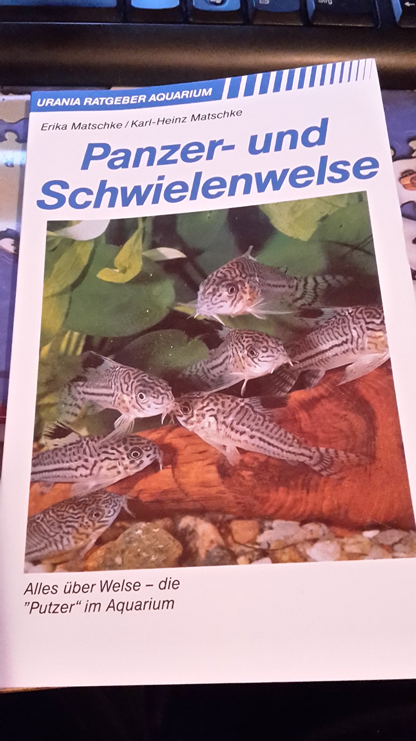 Panzerwelse und Schwielenwelse Natural Sciences