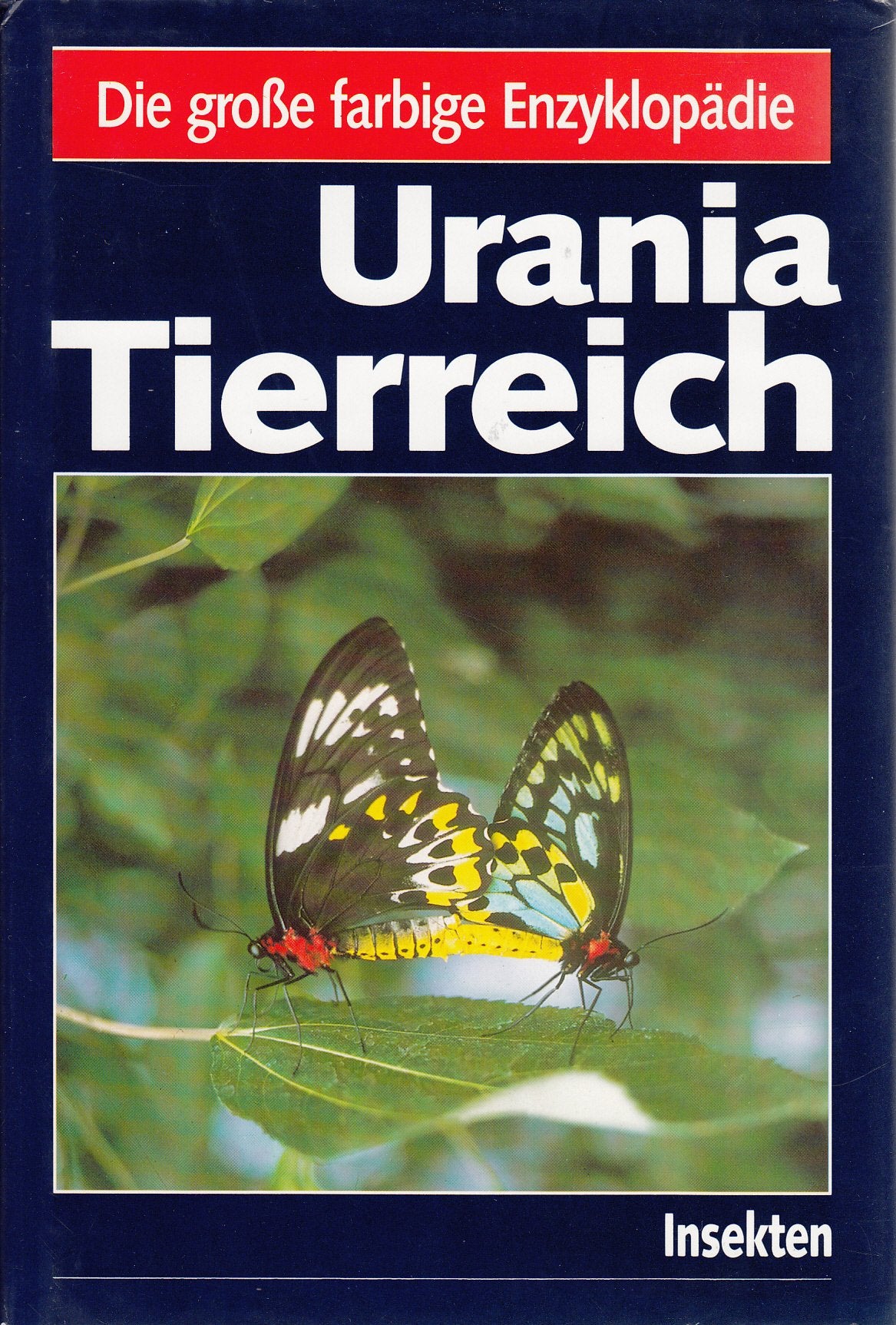 Die große farbige Enzyklopädie: Urania Tierreich - Insekten Reference Books