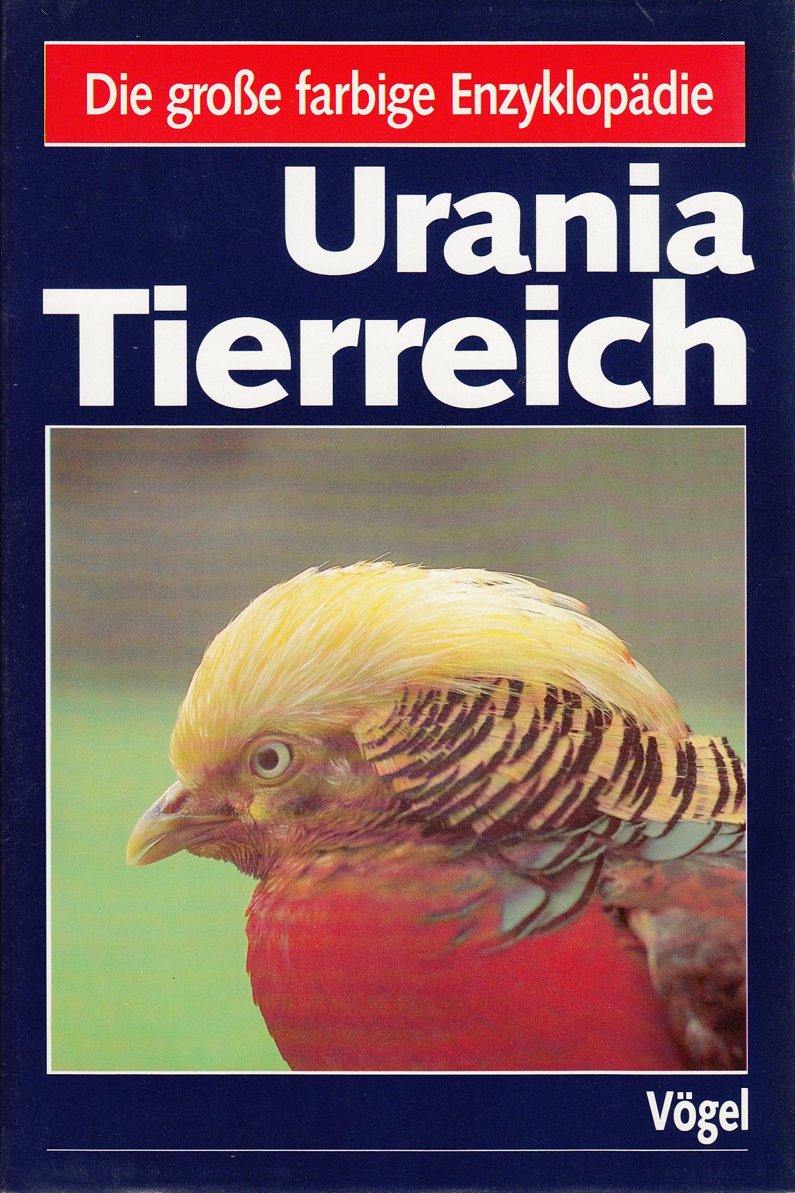 Die große farbige Enzyklopädie: Urania Tierreich - Vögel Reference Books