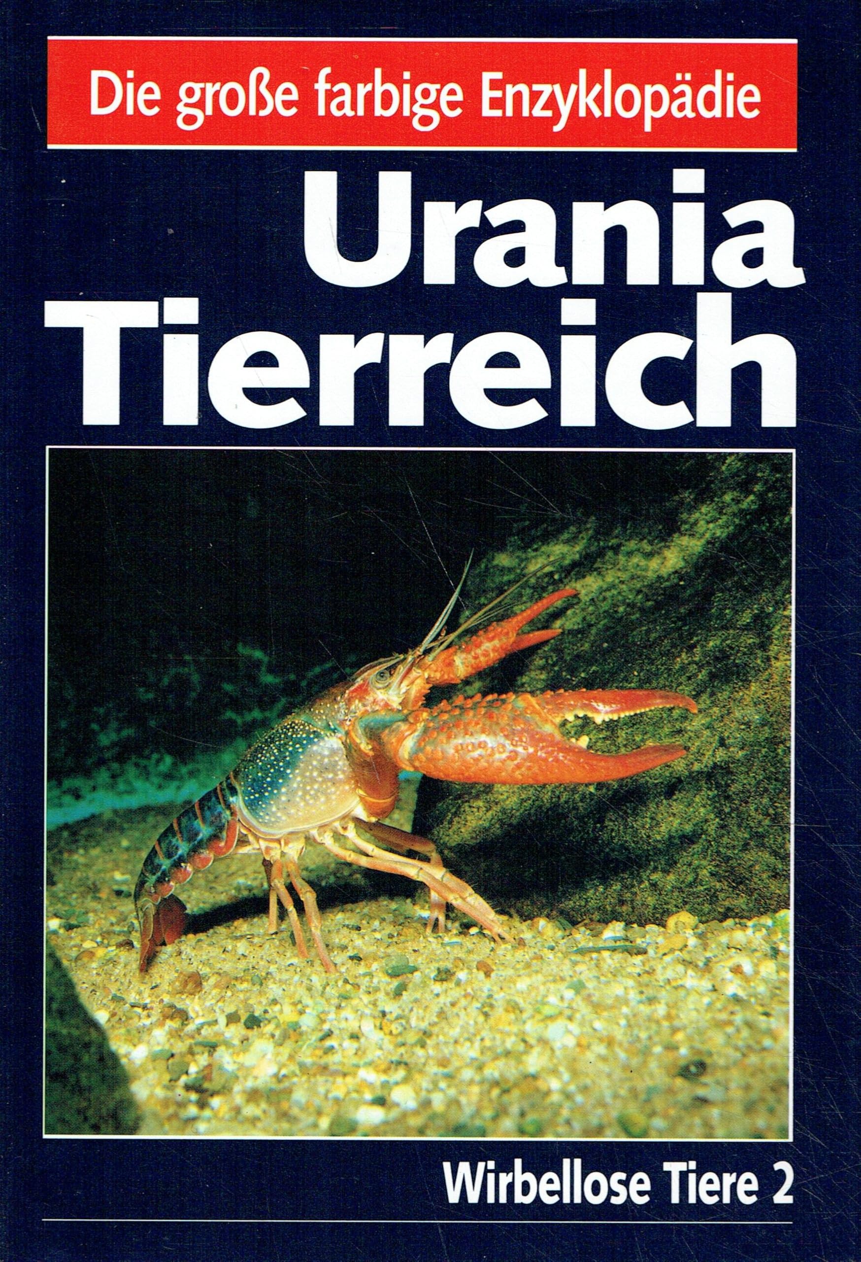 Urania Tierreich. Wirbellose Tiere, Band 2 Reference Books