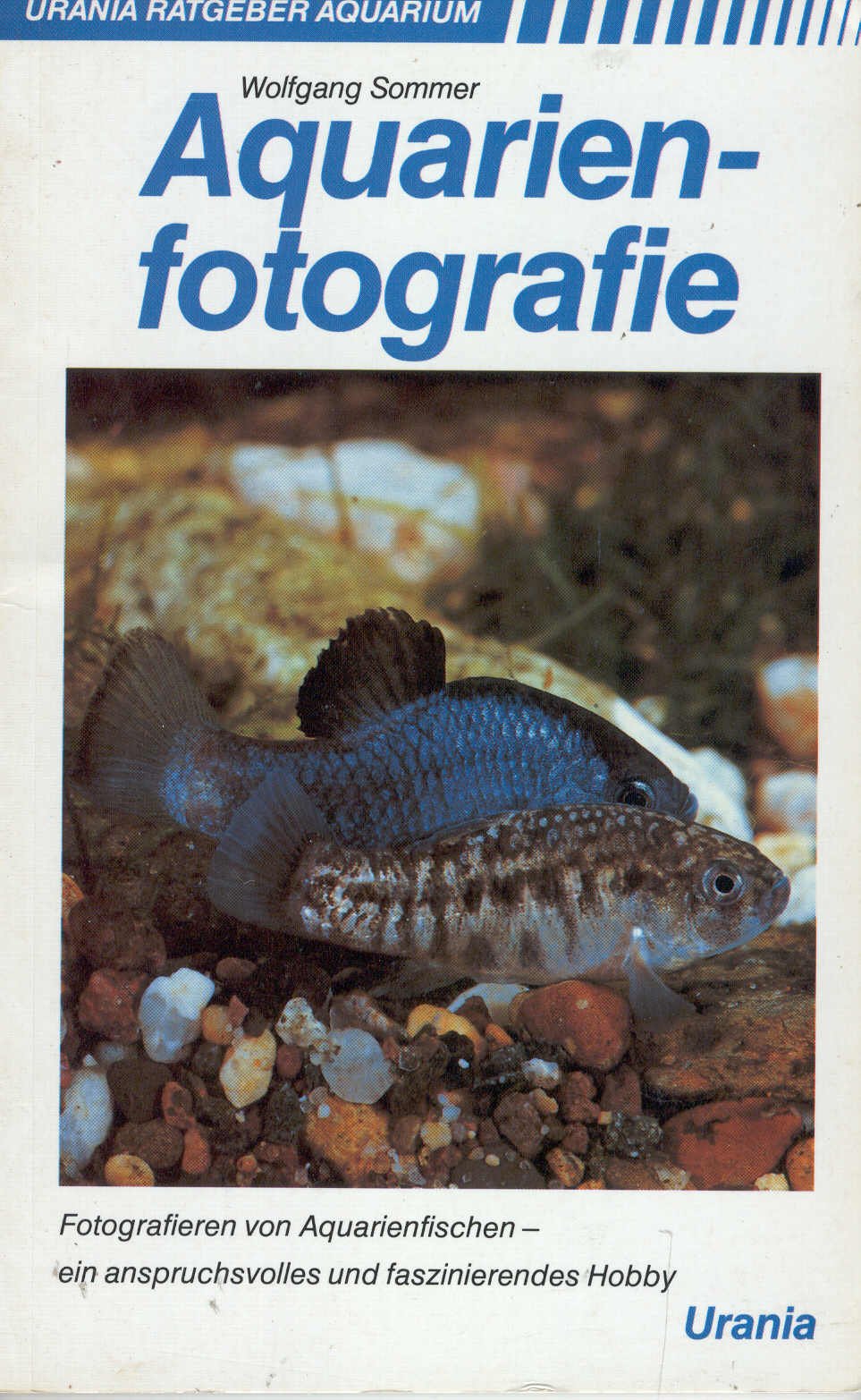 Aquarienfotografie Photography