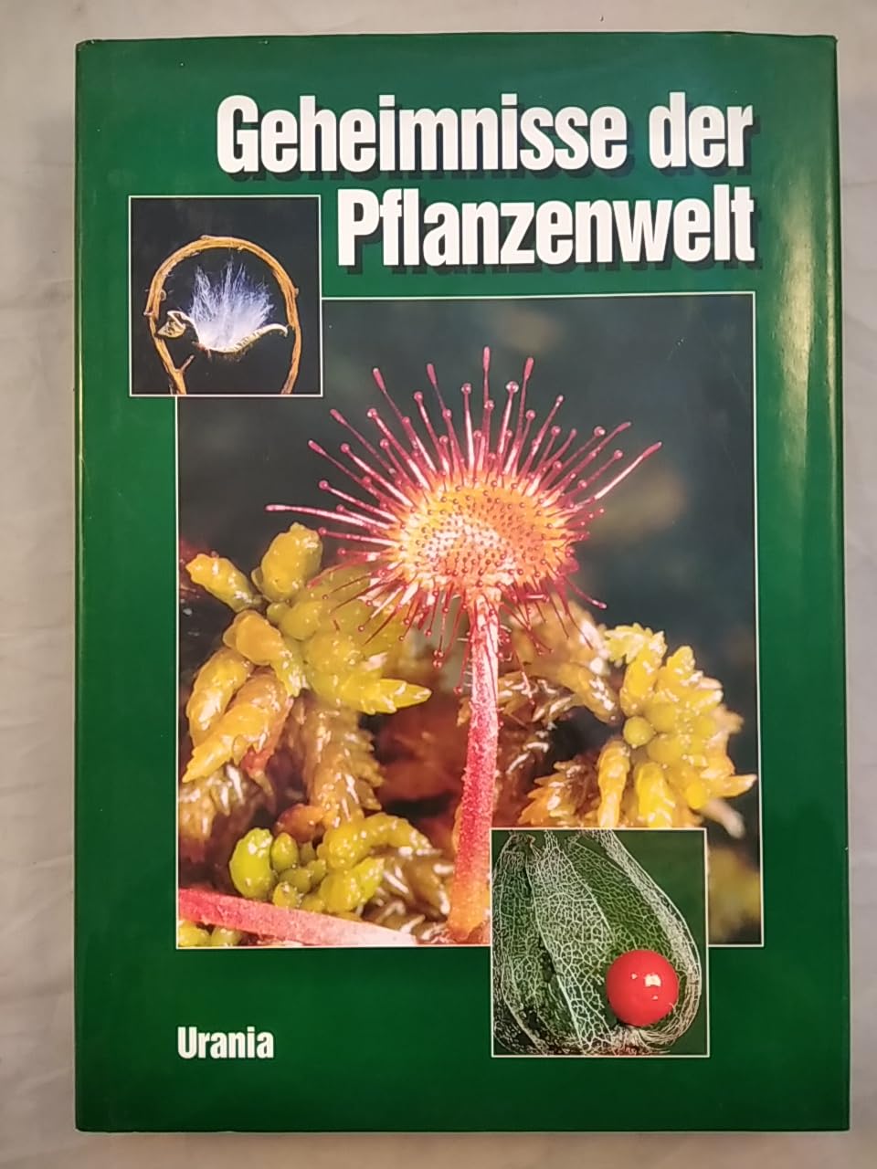 Geheimnisse der Pflanzenwelt Film, Art & Culture
