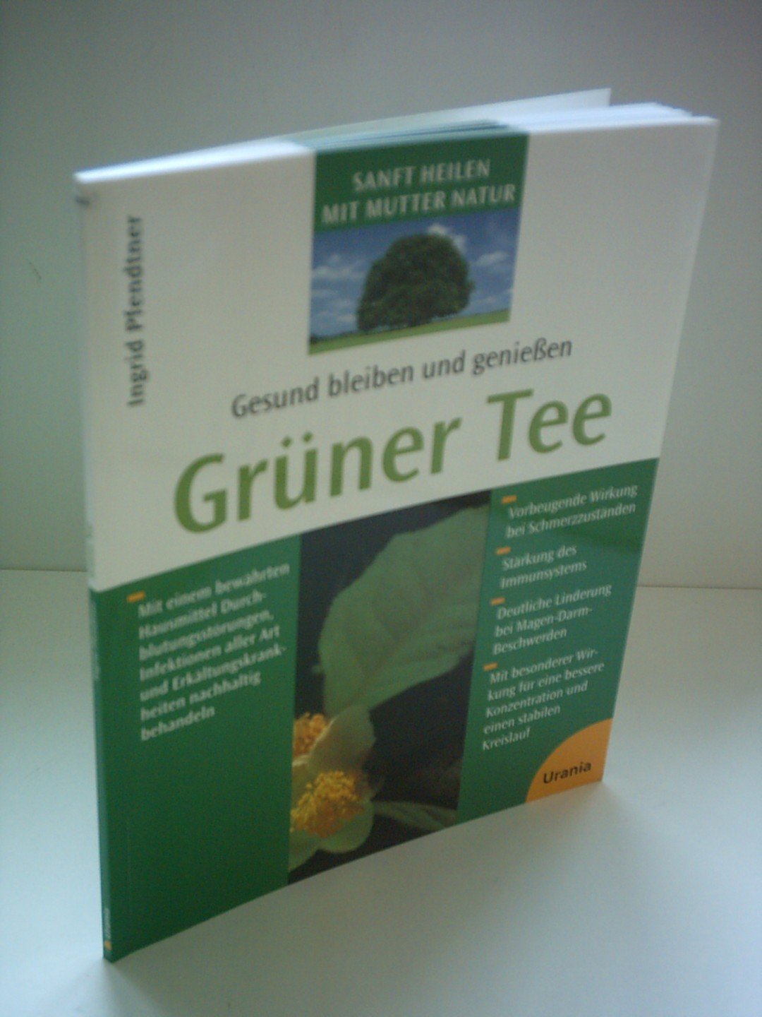Grüner Tee. Gesund bleiben und geniessen: Mit einem bewährten Hausmittel Durchblutungsstörungen, Infektionen aller Art und Erkältungskrankheiten nachhaltig behandeln Self-help