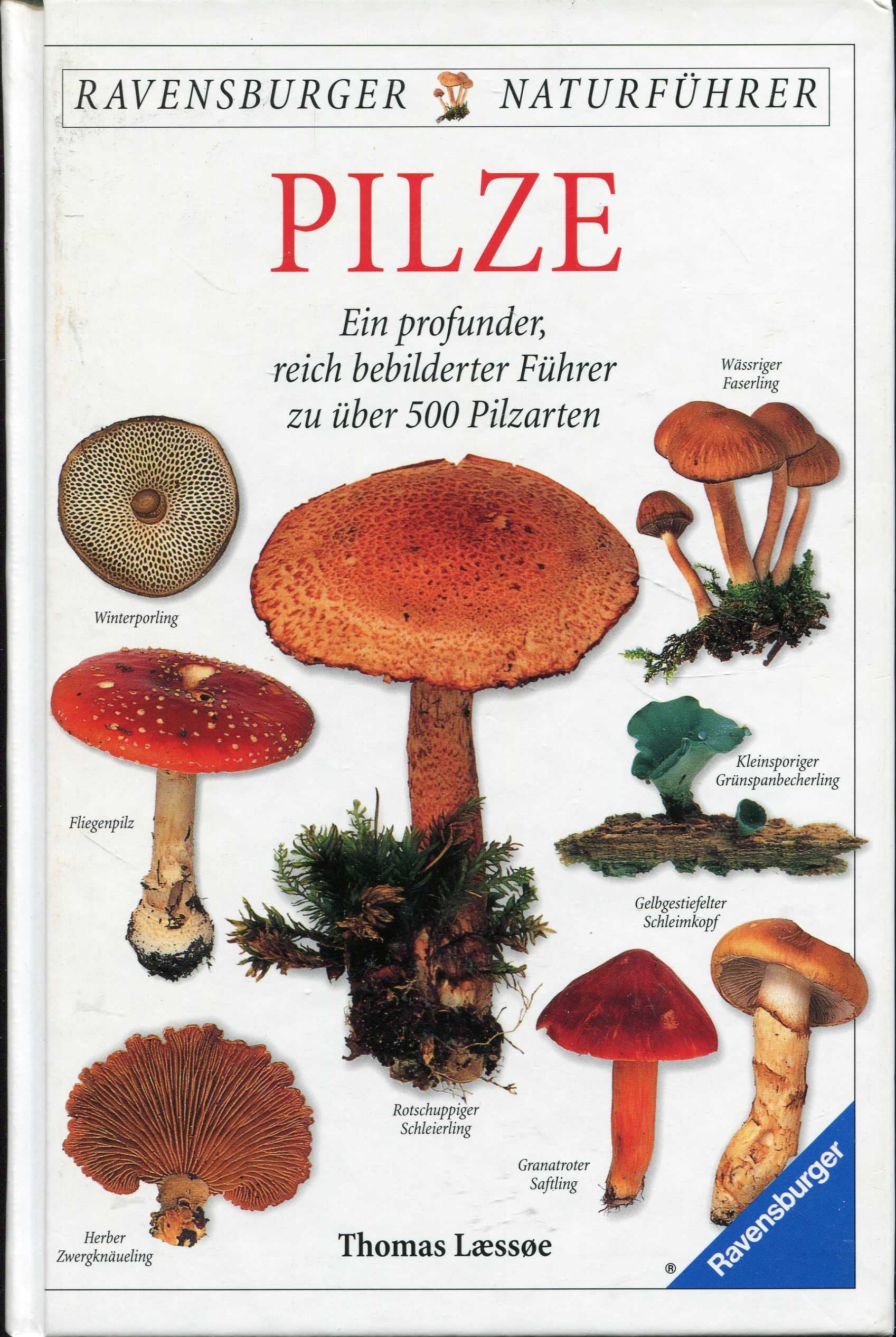 Handbuch Pilze: Ein profunder, reich bebilderter Führer zu über 500 Pilzarten Garden & Plants