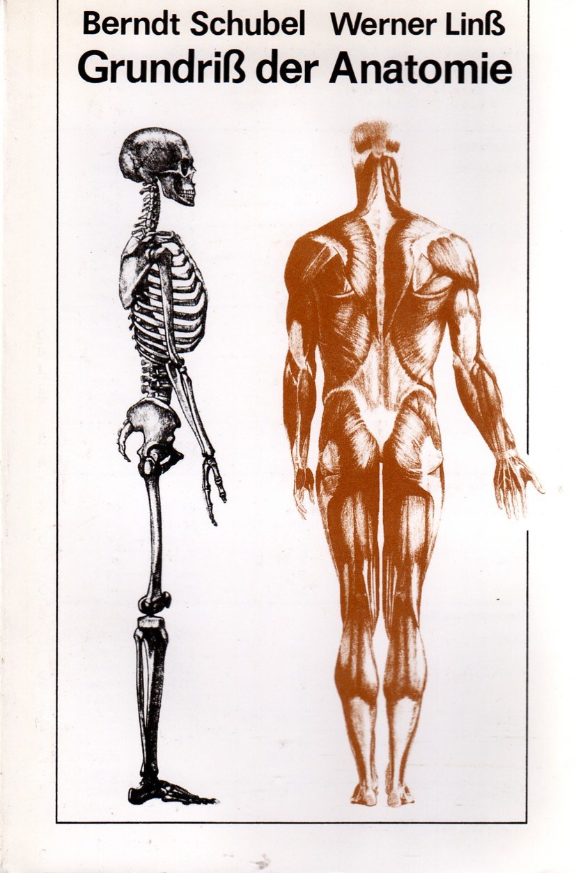 Grundriss der Anatomie. Lehrbuch für die medizinische Fachschulausbildung Medicine