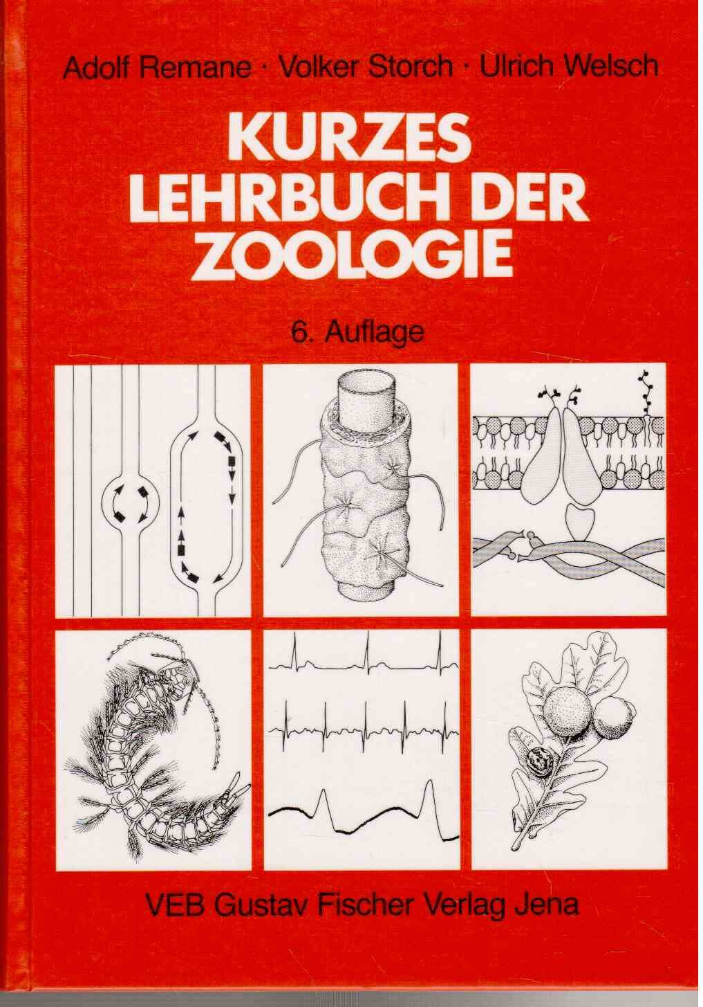 Kurzes Lehrbuch der Zoologie Mathematics