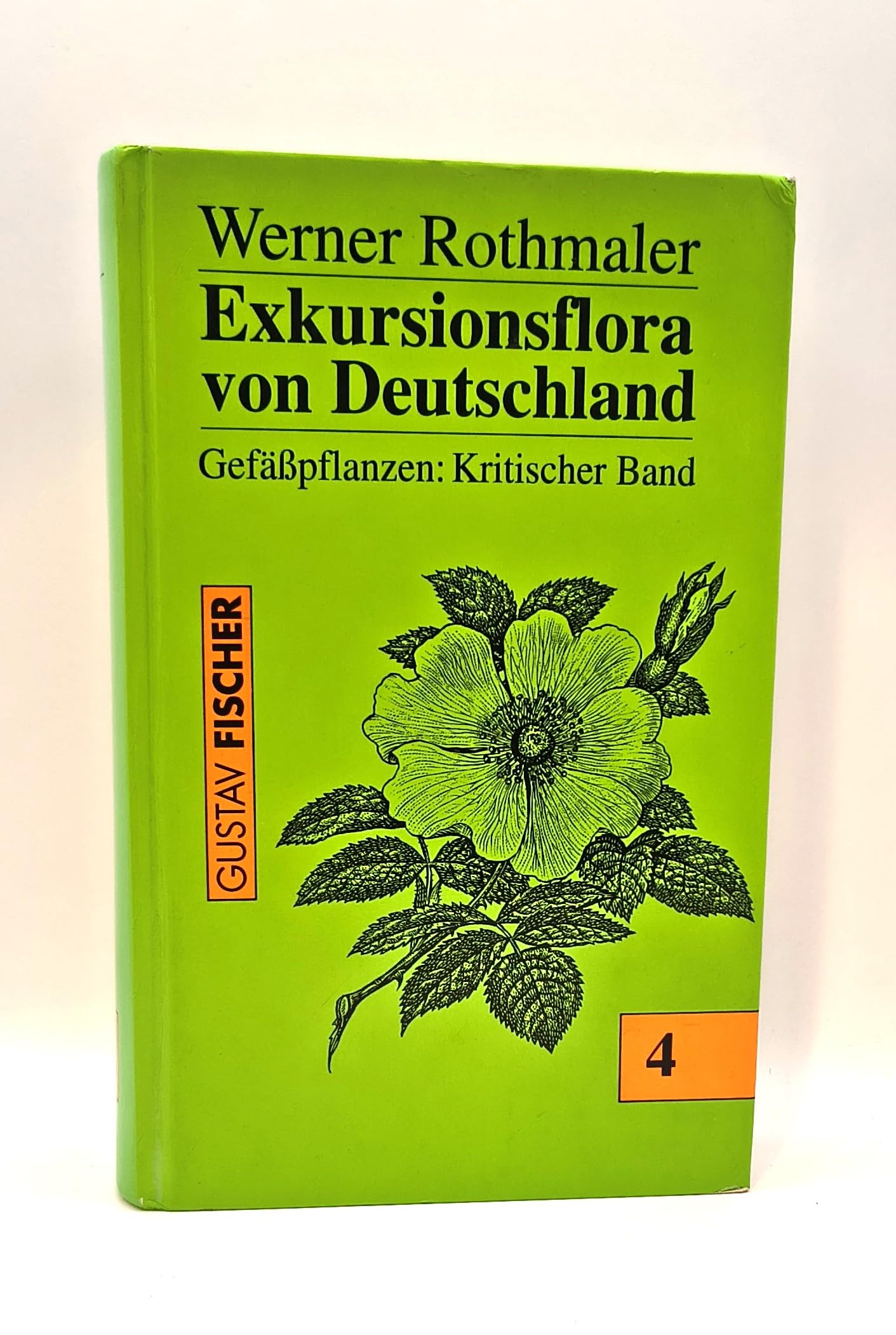 Rothmaler: Exkursionsflora von Deutschland, Bd. 4: Gefäßpflanzen: Kritischer Band Natural Sciences