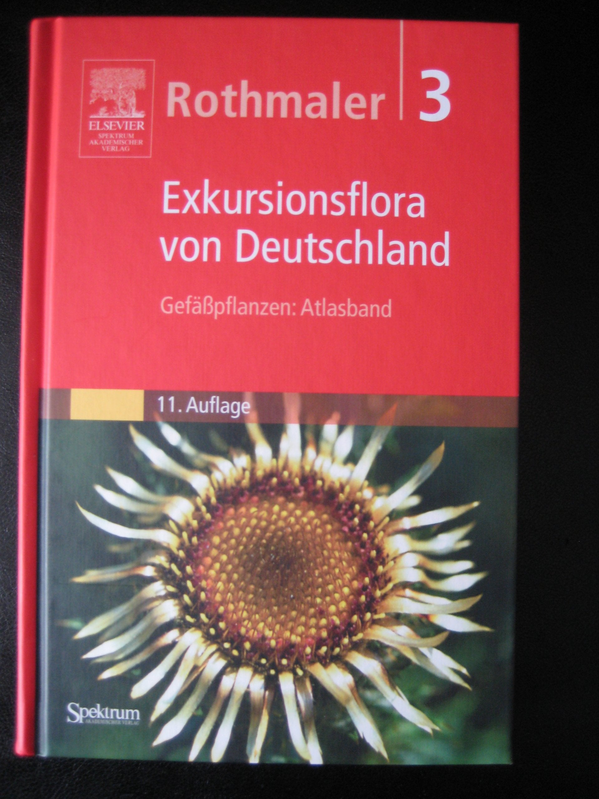 Rothmaler, Exkursionsflora in Deutschland Bd.3 9. A.: Gefässpflanzen - Atlasband Leisure, Home & Garden