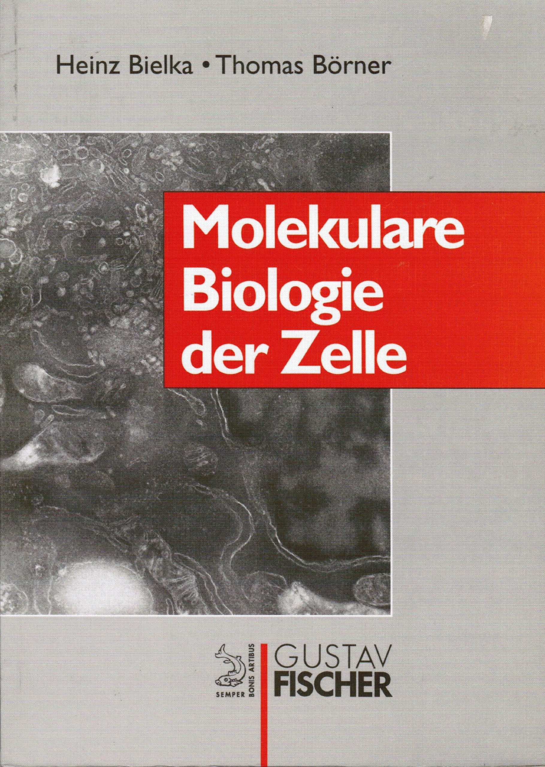 Molekulare Biologie der Zelle Natural Sciences