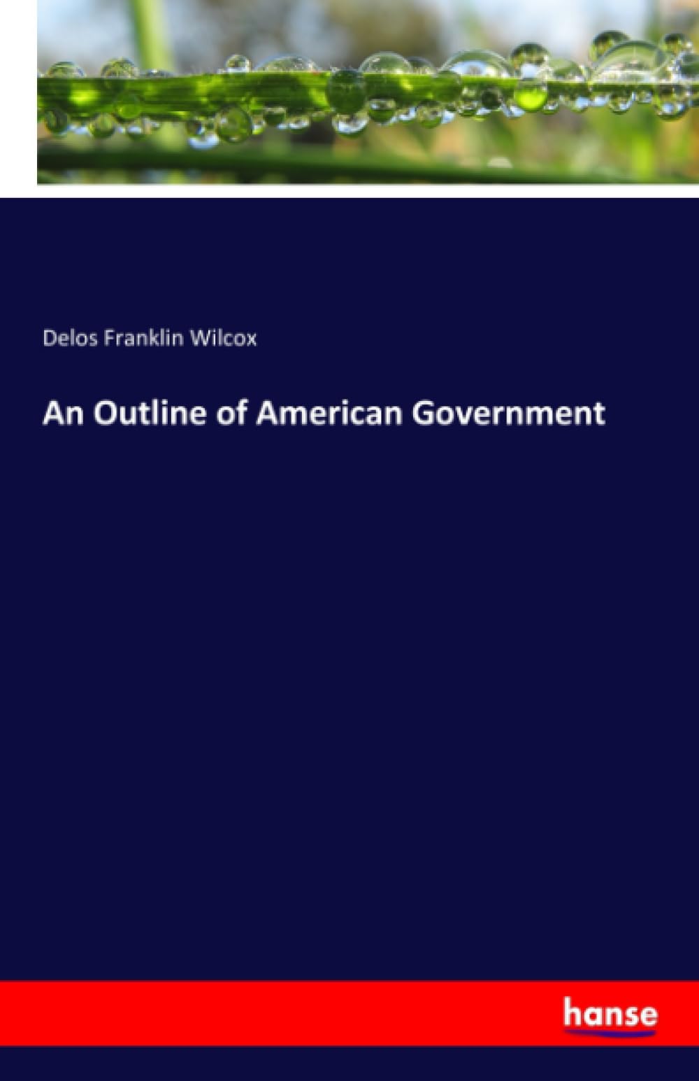 An Outline of American Government book
