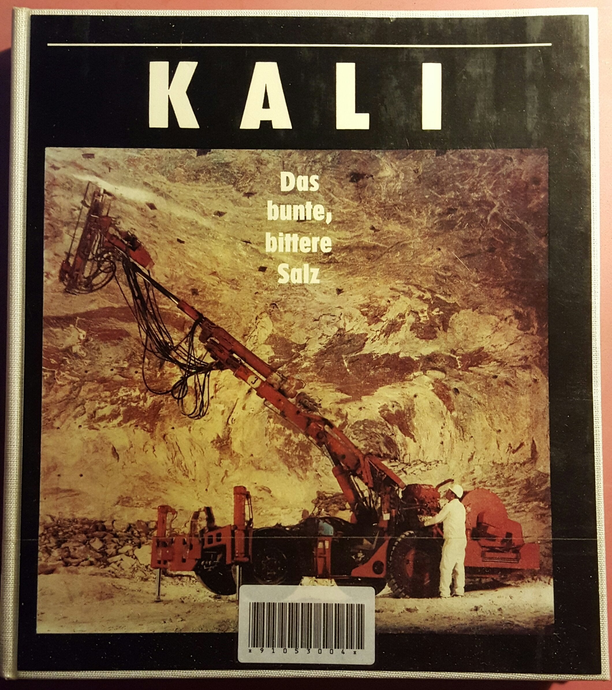 Kali: Das bunte, bittere Salz (German Edition) Books