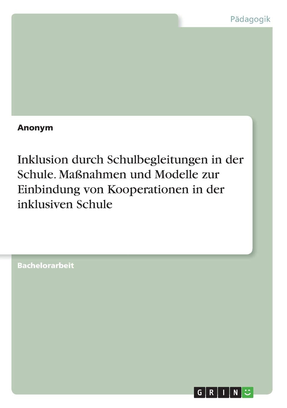 Inklusion durch Schulbegleitungen in der Schule. Maßnahmen und Modelle zur Einbindung von Kooperationen in der inklusiven Schule Politics & History