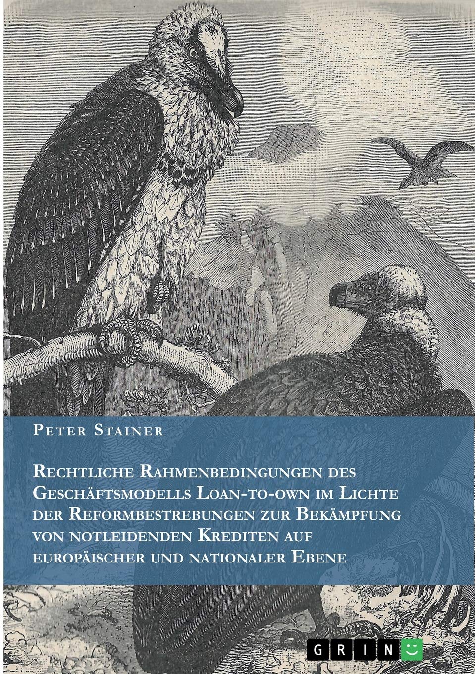 Rechtliche Rahmenbedingungen des Geschäftsmodells Loan-to-own im Lichte der Reformbestrebungen zur Bekämpfung von notleidenden Krediten auf europäischer und nationaler Ebene: Dissertationsschrift Law
