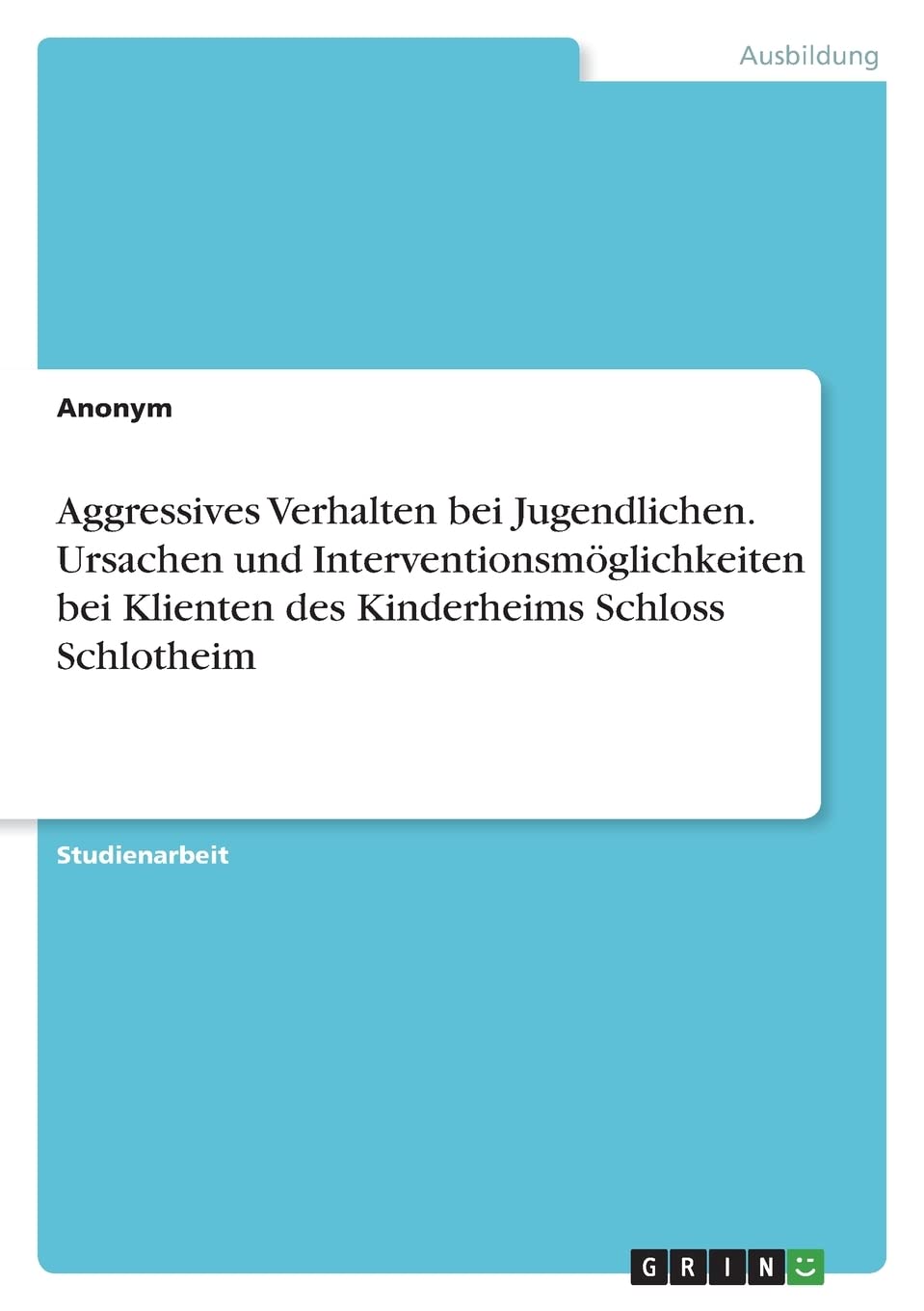 Aggressives Verhalten bei Jugendlichen. Ursachen und Interventionsmöglichkeiten bei Klienten des Kinderheims Schloss Schlotheim Business, Finance & Career
