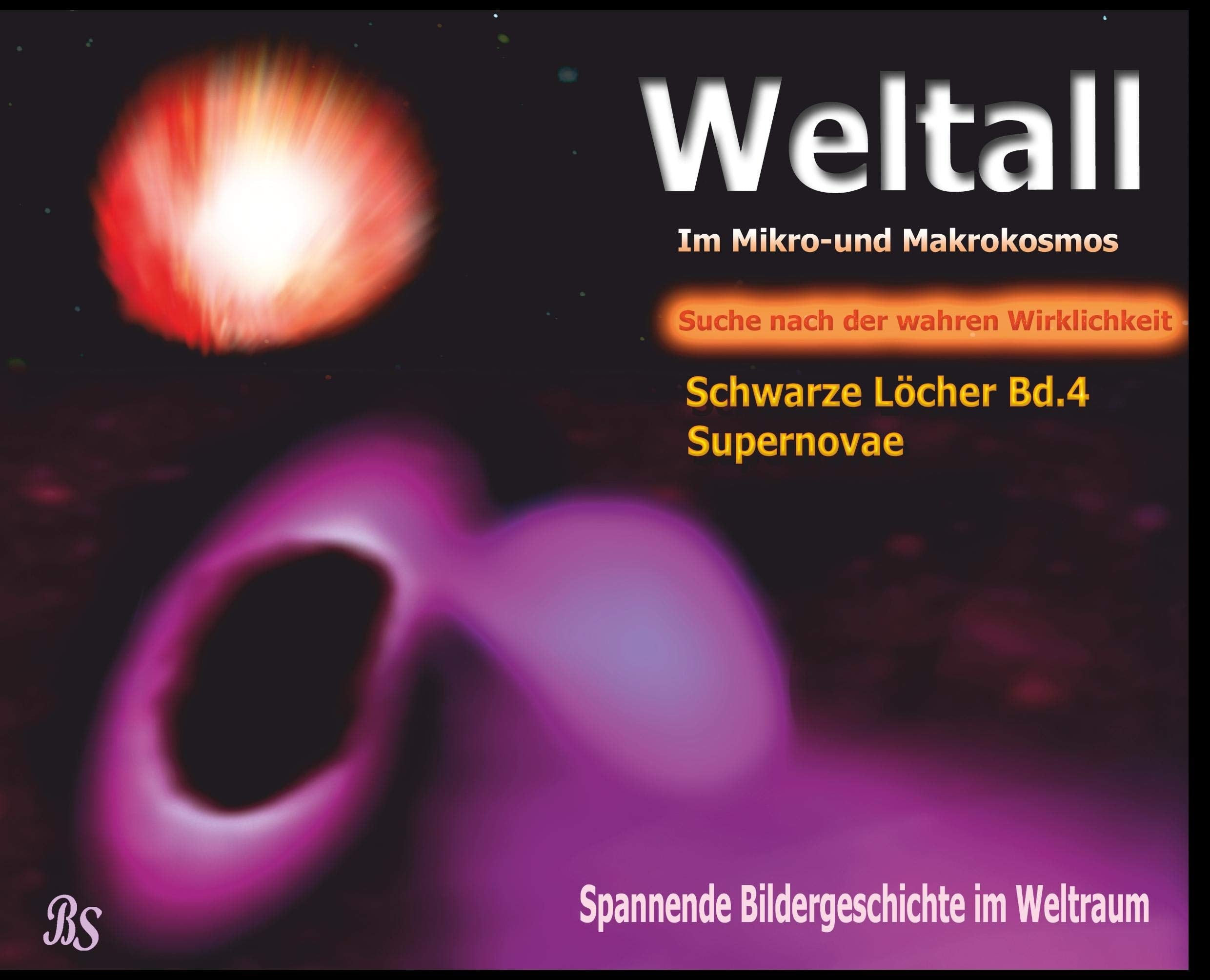Schwarze Löcher und Galaxien: Spannende Bildergeschichten im Weltraum (Weltall - Im Mikro- und Markokosmos - Auf der Suche nach der wahren Wirklichkeit) Business & Technology