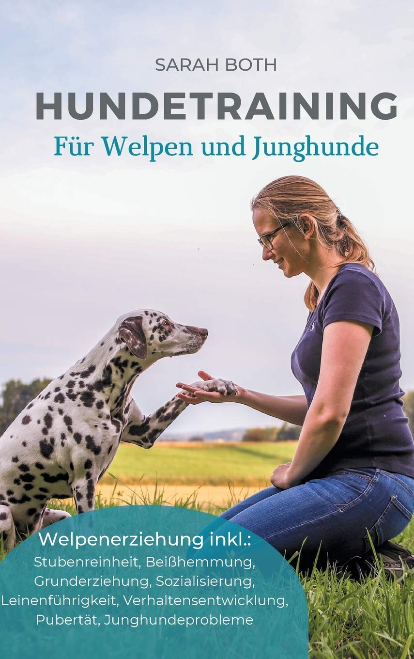 Hundetraining für Welpen und Junghunde Pets