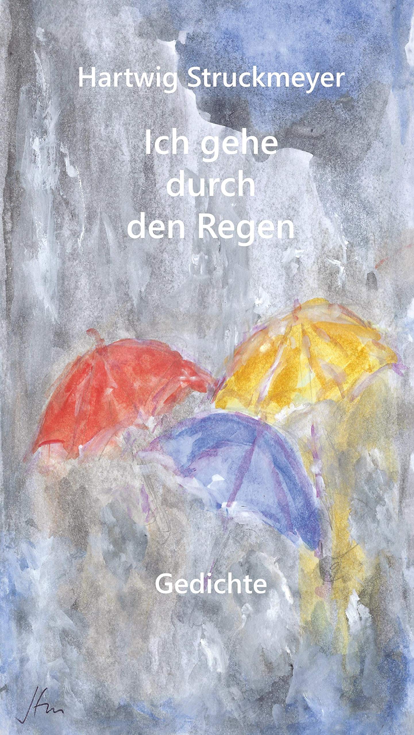 Ich gehe durch den Regen: Gedichte Poetry