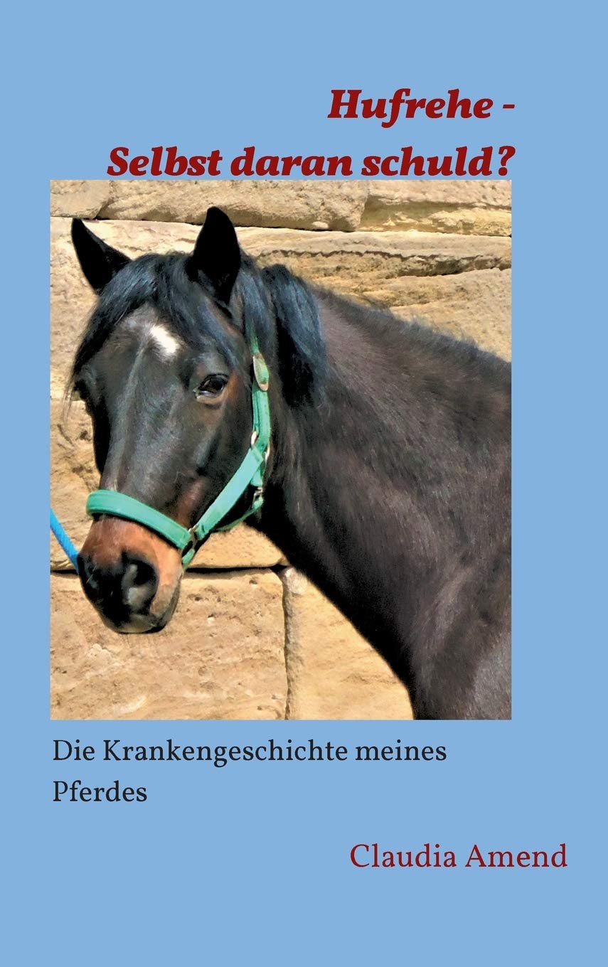 Hufrehe - Selbst daran schuld?: Die Krankengeschichte meines Pferdes Memories