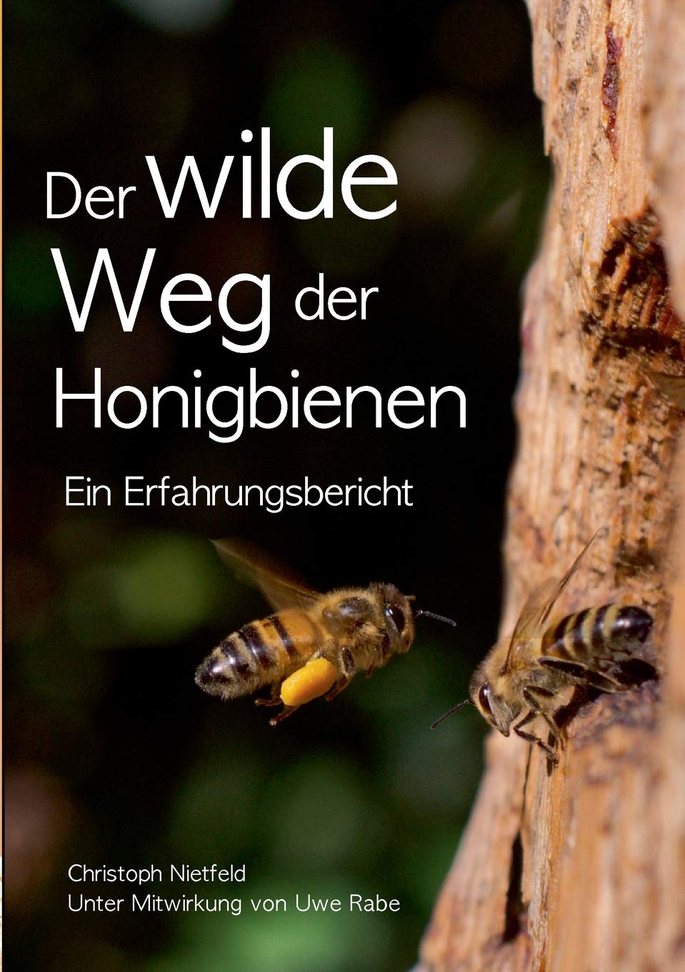 Der wilde Weg der Honigbienen General education