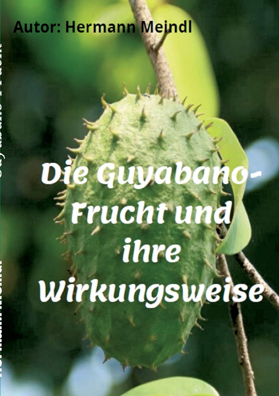 Die Guyabano-Frucht und ihre Wirkungsweise: Krebs mag keine Guyabano-Produkte Learning & Reference