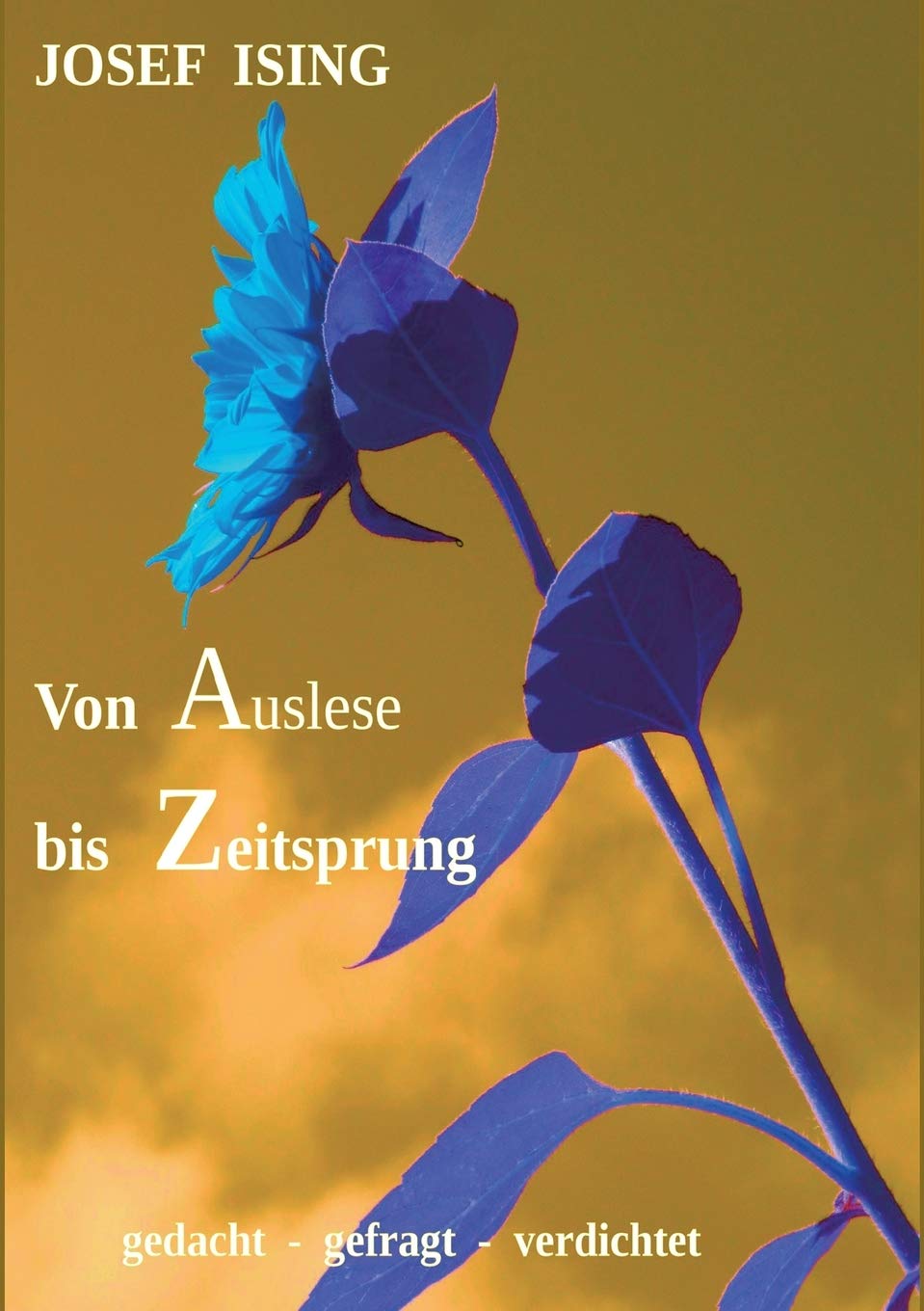 von Auslese bis Zeitsprung: gedacht - gefühlt - verdichtet Poetry