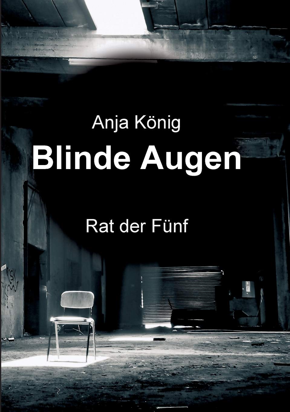 Blinde Augen Contemporary literature Books
