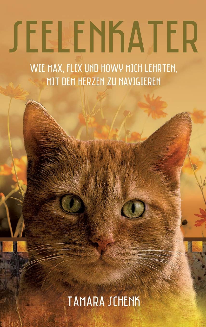 Seelenkater Contemporary literature Books