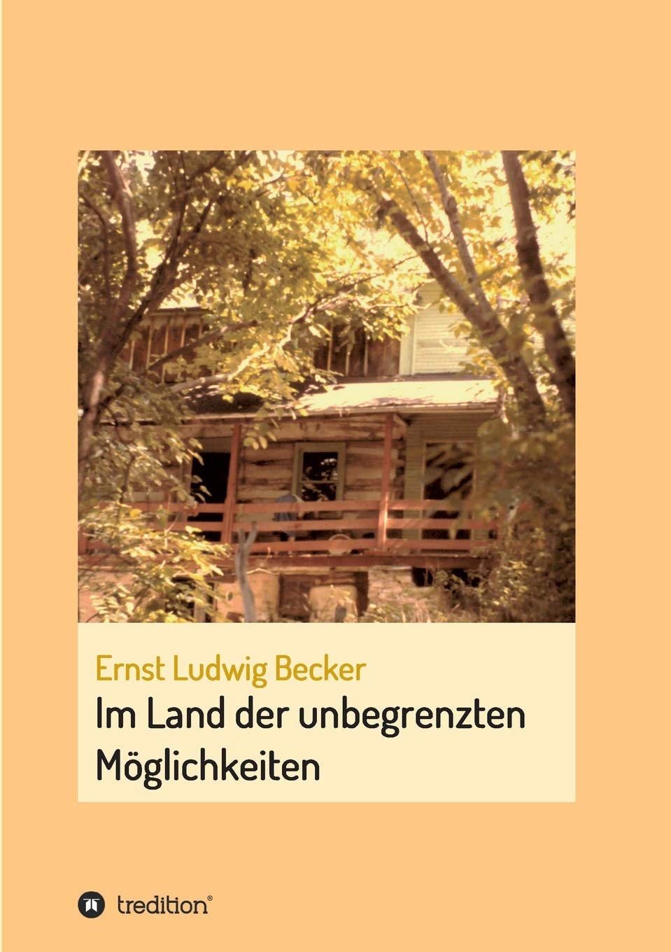 Im Land der unbegrenzten Möglichkeiten  -  eine Hommage an die menschliche Vorstellungskraft Contemporary literature