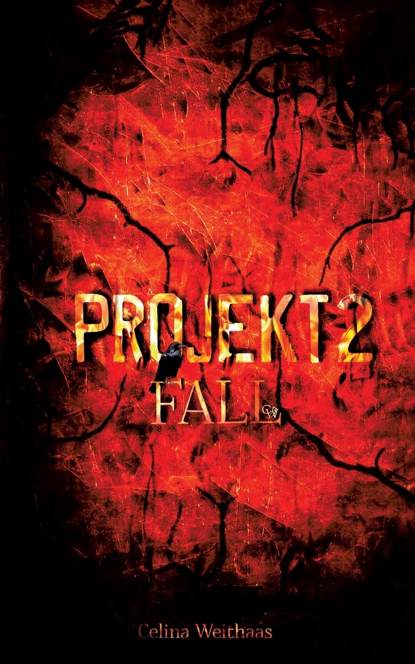 Projekt II Contemporary literature Books