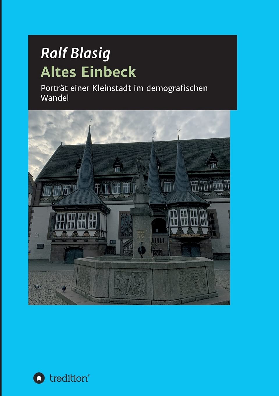 Altes Einbeck: Porträt einer Kleinstadt im demografischen Wandel Politics & History