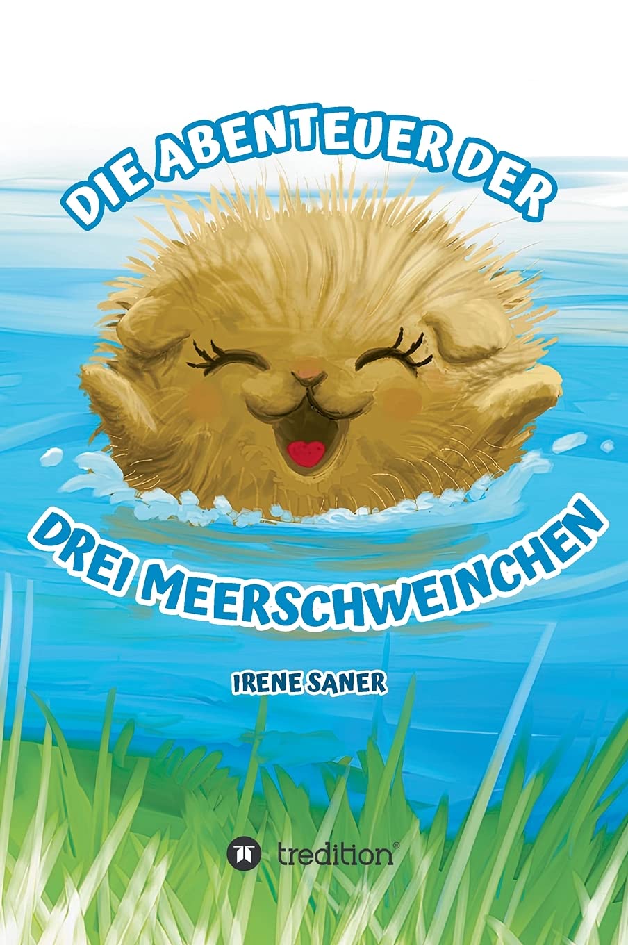 Die Abenteuer der drei Meerschweinchen Study Guides