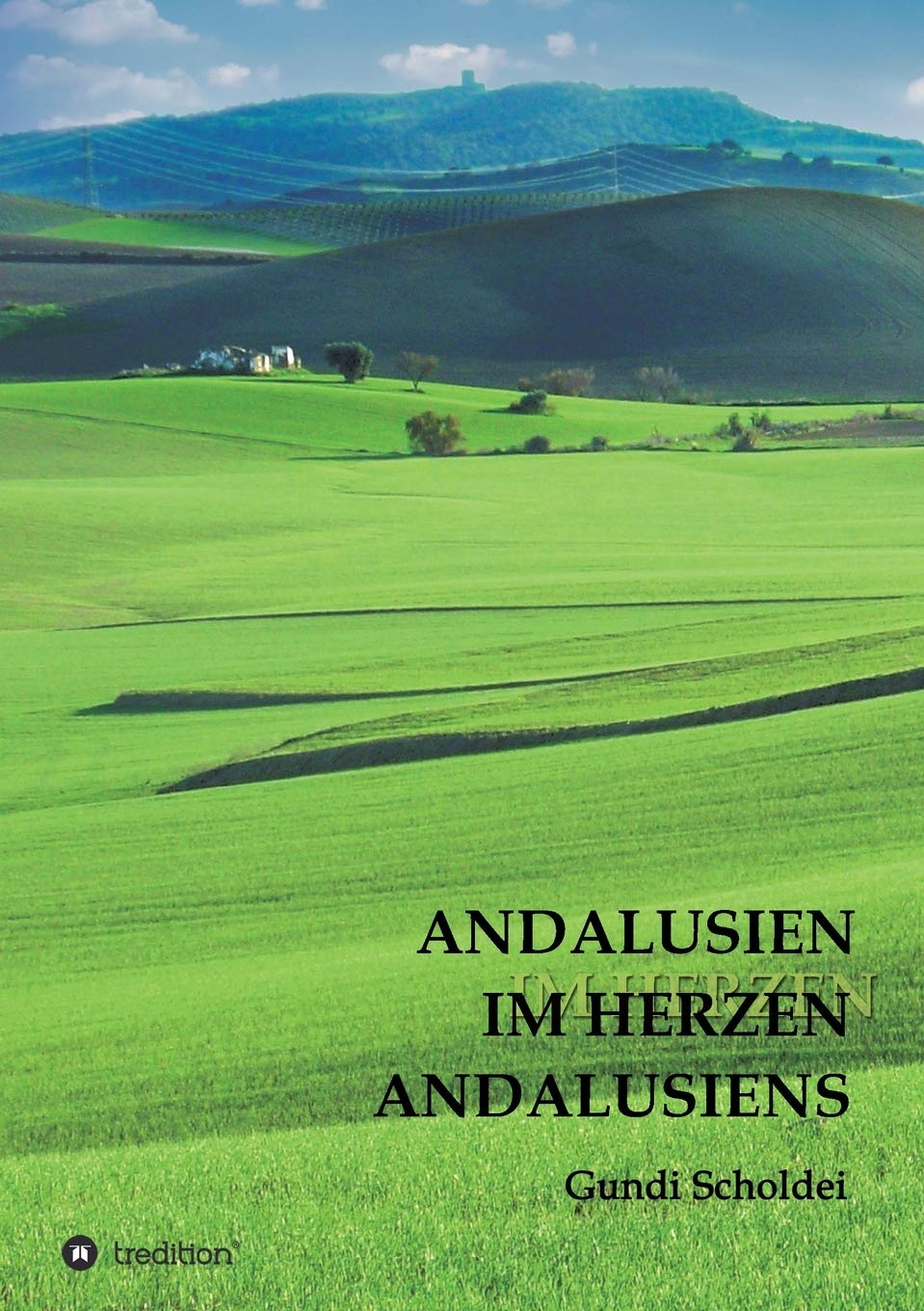 ANDALUSIEN IM HERZEN ANDALUSIENS book