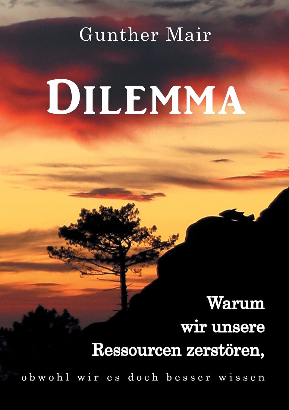 Product Image: Dilemma