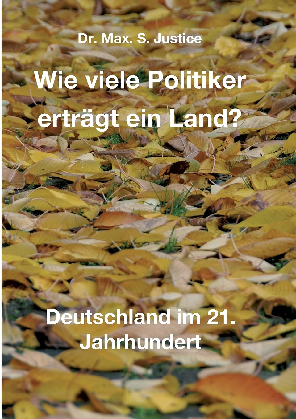 Wie viele Politiker erträgt ein Land?: Deutschland im 21. Jahrhundert Contemporary literature